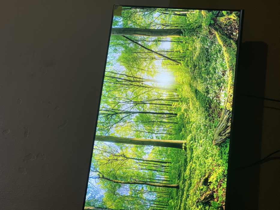 A flat-screen television displays a lush forest scene. Sunlight streams through the tall, slender trees, illuminating the verdant undergrowth. The image is bright and vivid, showcasing various shades of green. A portion of the adjacent wall is visible, contrasting with the vibrant screen. The television is positioned in a dimly lit room, casting a shadow on the wall. Cables are visible near the screen's edge.