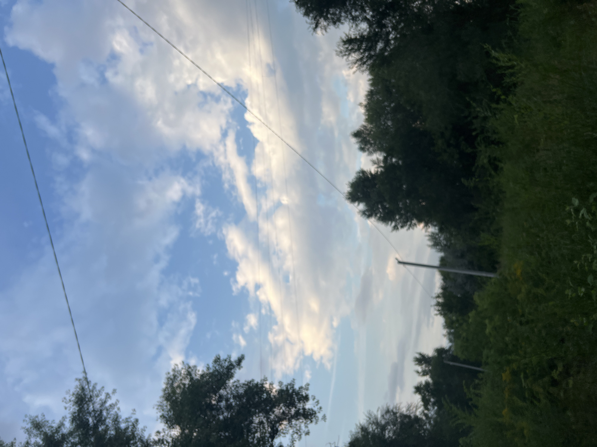The image depicts an outdoor scene with a focus on the sky and a line of trees. The sky is partly cloudy with a mix of blue sky and white, fluffy clouds. Two power lines are visible, stretching diagonally across the frame. Below the sky, a dense line of dark green trees forms a horizon. The foreground consists of overgrown green vegetation, with hints of yellow flowers. Two utility poles are partially visible amidst the trees, supporting the power lines. The overall impression is of a natural landscape within or near a developed area, given the presence of power lines and poles. The location is identified as Ulyanovsk, Russia.