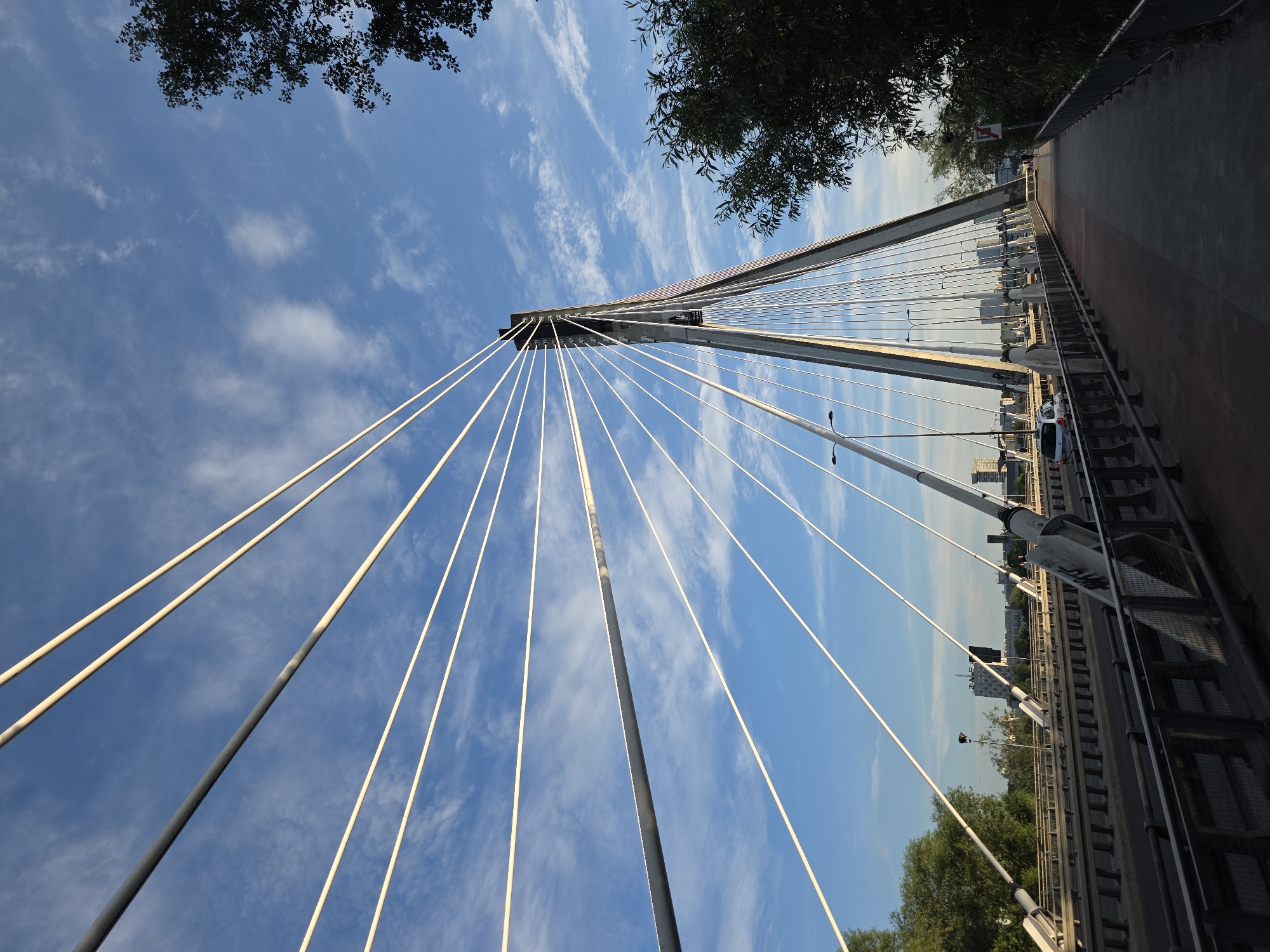 The image depicts the Świętokrzyski Bridge in Warsaw, Poland, on a clear day with scattered clouds. The perspective is from the pedestrian walkway of the bridge, looking up towards one of its pylons. The bridge's distinctive cable-stayed design is prominent, with numerous white cables fanning out from the tall, angled pylon and connecting to the bridge deck. The deck itself is visible, with a road featuring a few cars and a separate pedestrian path. Trees line the sides of the bridge, and in the background, the cityscape of Warsaw is visible with various buildings. The lighting suggests it is late afternoon or early morning, casting long shadows on the walkway.
