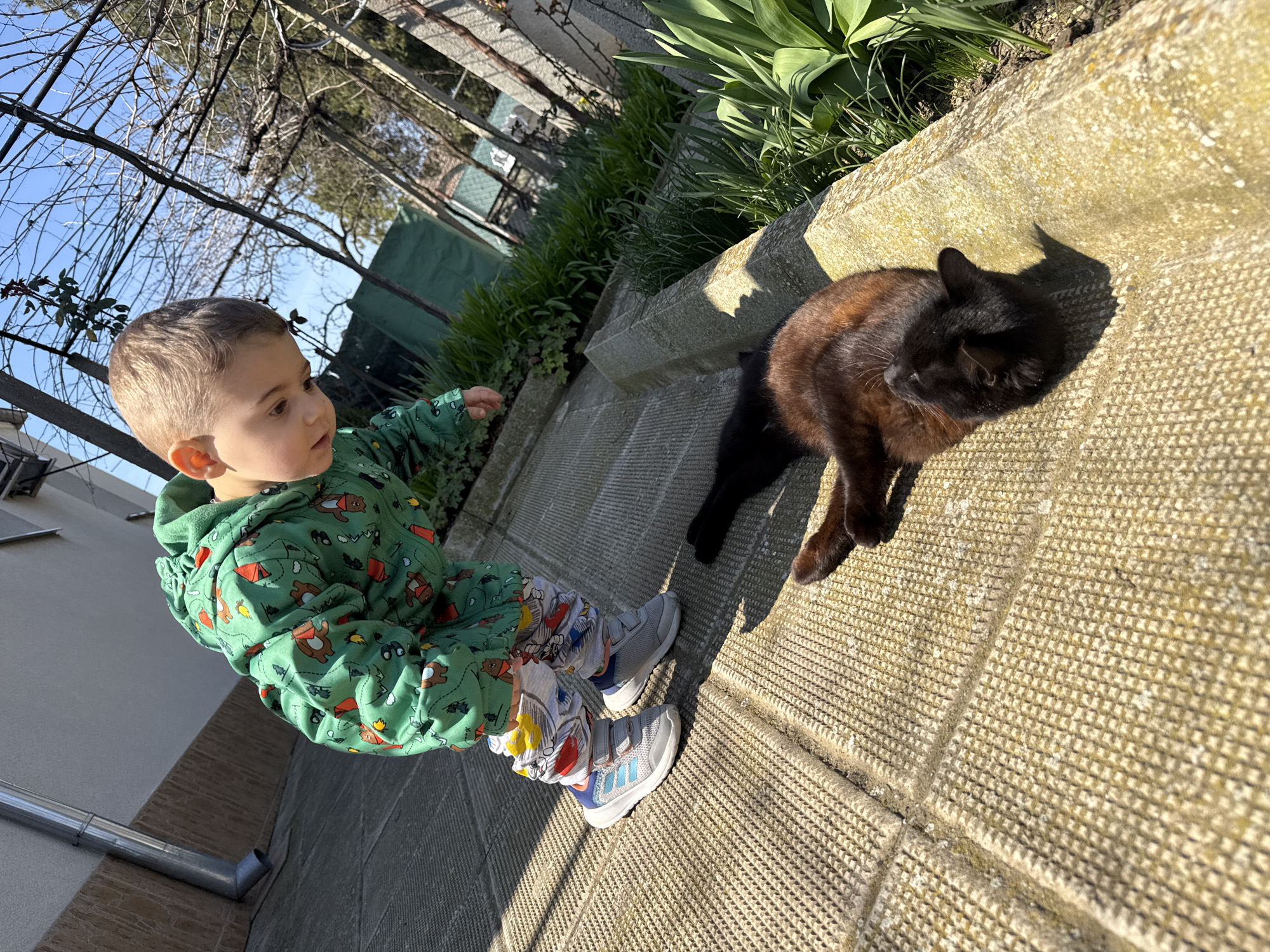 The image depicts an outdoor scene in Pirne, Bulgaria, under direct sunlight. A young child, approximately two to three years old, wearing a green hooded top with bear and camping patterns, and colorful patterned pants with grey and blue sneakers, is positioned on a textured, light-colored concrete surface. The child is looking towards the right side of the frame, appearing to observe a dark-furred cat resting on the same concrete surface. The cat, predominantly black with reddish-brown highlights from the sunlight, is lying with its head turned to the left. The concrete surface exhibits a regular, small-square textured pattern and casts prominent shadows due to the strong overhead light. In the background, behind the cat and concrete, is a strip of green vegetation including broad-leaf plants, followed by a dark green mesh structure or fence. Above and to the left of the child, a silver metal downpipe is visible against a light building wall. The upper background features bare tree branches against a clear blue sky, suggesting late winter or early spring.