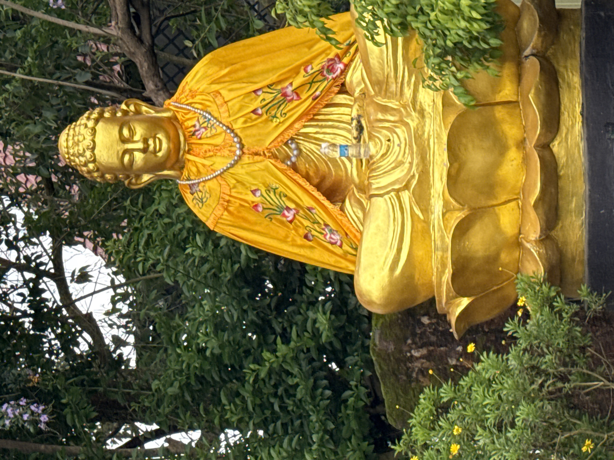 A golden Buddha statue is seated in a meditative posture outdoors, adorned with a vibrant yellow robe decorated with floral embroidery. A pearl necklace is draped around the statue's neck. A partially visible bottle of water rests on the statue's lap. The statue is surrounded by lush green foliage and trees, with a hint of purple flowers blooming in the background. The scene is likely located in a temple or a garden in Lâm Viên - Đà Lạt, Vietnam, given the tropical vegetation and the cultural significance of Buddhist statues in the region.