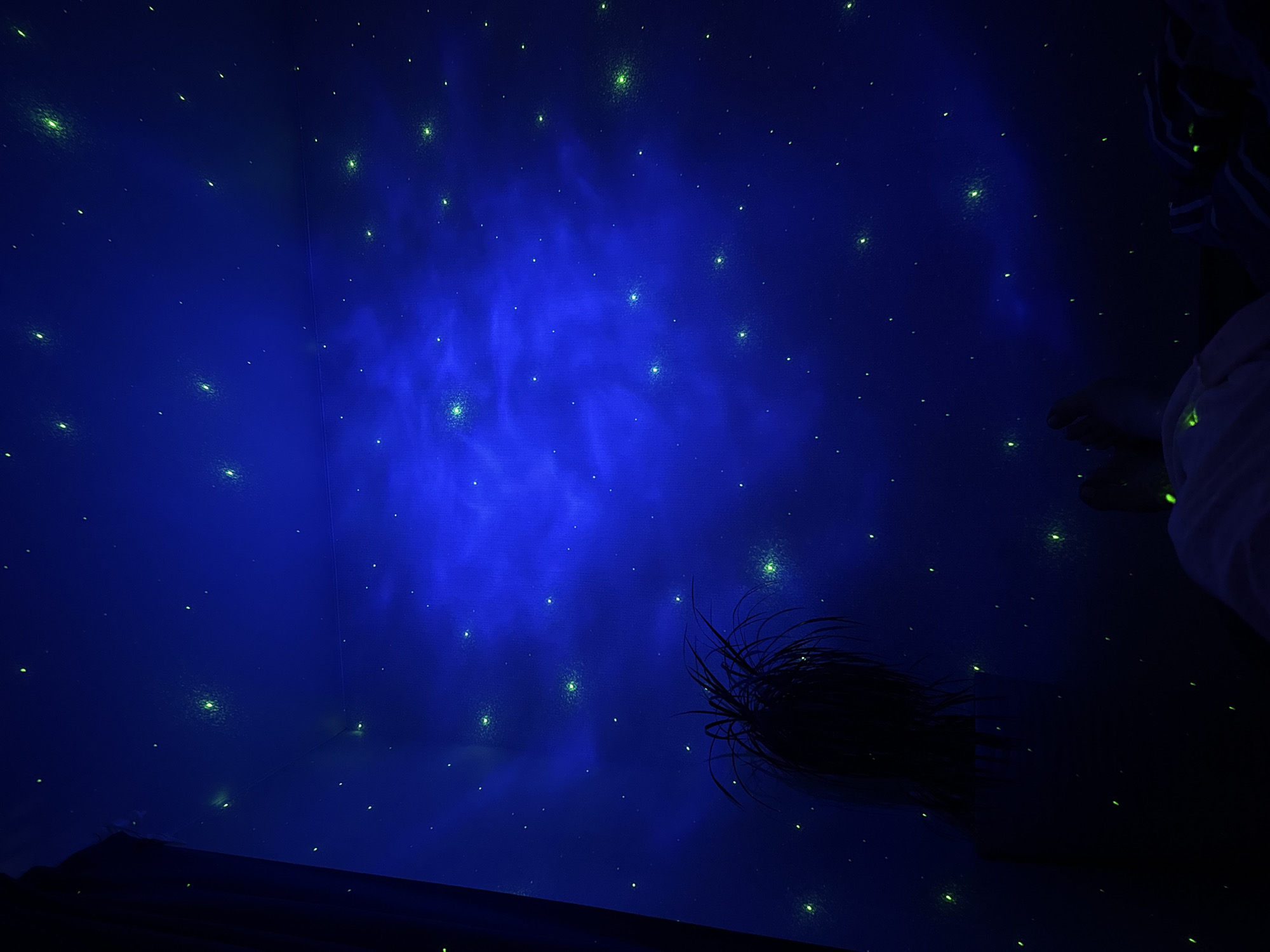 The image depicts a person's feet and a dark silhouette of a plant in a room illuminated by a projector casting a starry sky effect on the ceiling and walls. The dominant color is deep blue with scattered green "stars" and some wispy cloud-like patterns. The person appears to be lying down, with their feet facing the camera and wearing white clothing. The plant is positioned to the left of the frame, casting a dark shadow. The overall ambiance is dark and somewhat surreal, suggesting a relaxed or contemplative setting. No specific details related to the city of Perm, Russia are present in the image.