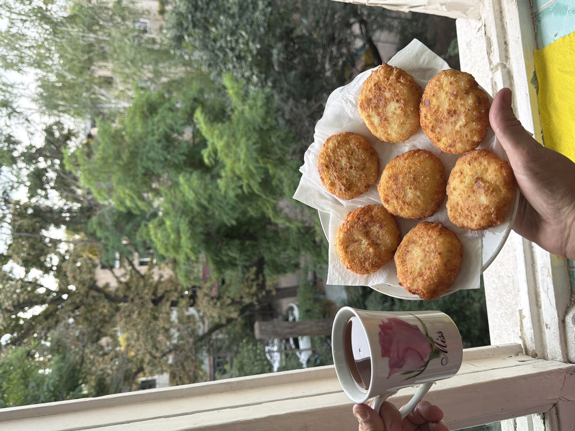 A person's hands hold a mug of tea and a plate of fried cheese pancakes in front of a window. The mug is white with a pink rose and the word "Miss" printed on it. The plate contains seven golden-brown, circular cheese pancakes. Through the window, green trees and buildings are visible, suggesting an outdoor urban setting. The window frame is white and appears slightly weathered. The lighting suggests it is daytime.
