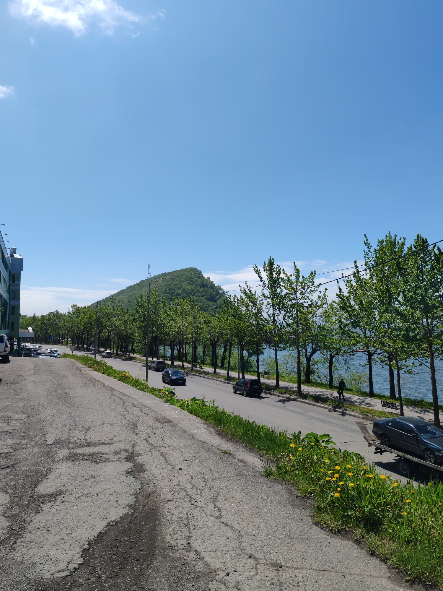 The image depicts a scenic view of a city street alongside a body of water, with a lush green hill in the background. The street is lined with tall, leafy trees, creating a picturesque avenue. Several cars are visible on the road, suggesting active urban life. A person is walking on the sidewalk adjacent to the water, adding a human element to the scene. The sky is clear and blue, indicating a pleasant day. The overall impression is one of a well-maintained urban environment with natural beauty.