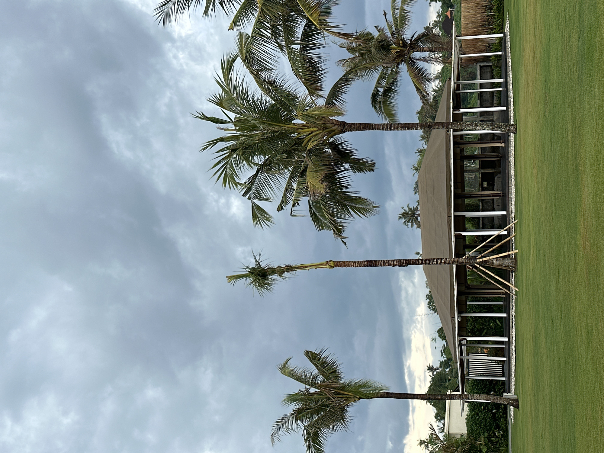The image depicts a tropical scene with several palm trees under an overcast sky. A structure with a roof and white columns stands adjacent to a green lawn. The location is Unknown, Unknown.