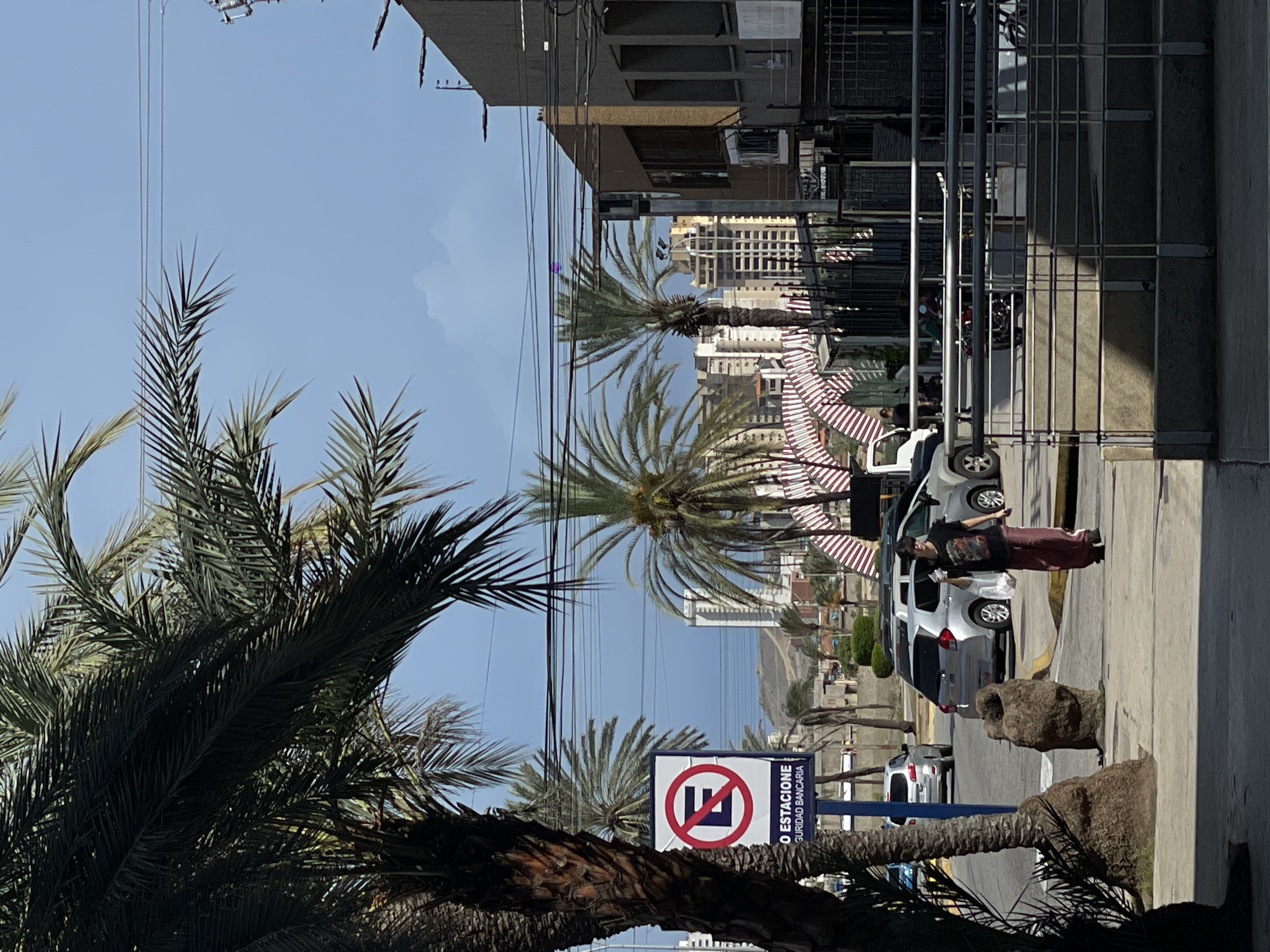 In Porlamar, Venezuela, a young person walks along a sidewalk under a clear blue sky, carrying two plastic bags. They are wearing a dark t-shirt with a graphic and loose-fitting burgundy pants. To the left of the pedestrian, a "No Parking" sign is visible, featuring a red circle with a diagonal line over the letter "E" in blue. Behind the person, several vehicles are parked, including a silver SUV and a white van. Palm trees are interspersed throughout the scene, with dense fronds framing the upper portion of the image. In the background, a row of buildings, some appearing to be under construction, stretch across the horizon. Further back, distant mountains are visible. A striped awning or canopy is also present in the mid-ground. The sidewalk is lined with a metal railing and concrete structures, with a small, rough-textured planter box on the left. The overall scene depicts a sunny day on a street with urban and natural elements.