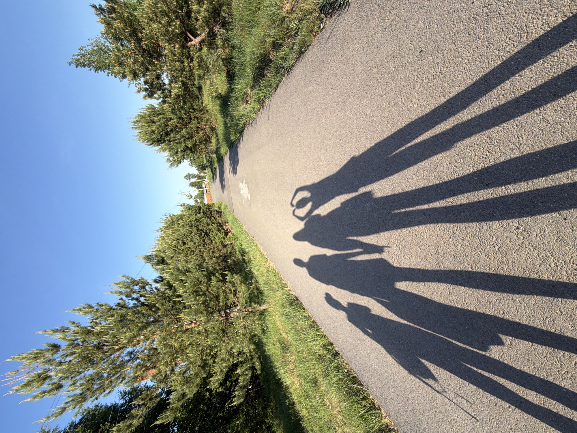 The image shows a paved path in Chaikovsky, Russia, bordered by grass and trees. The shadows of four people are cast onto the path, along with the shadow of a person holding up a heart-shaped object.