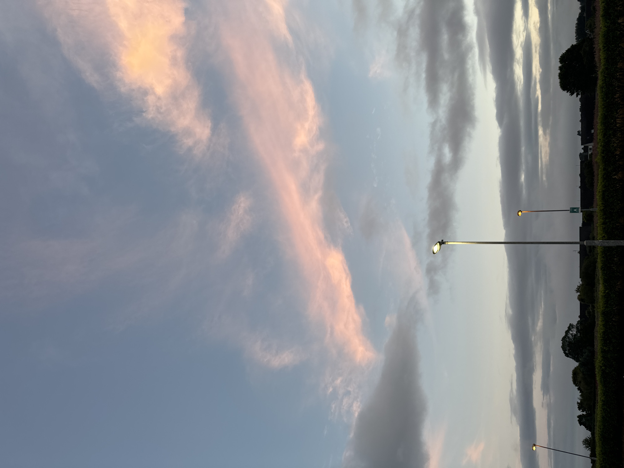 The image depicts an outdoor scene at dusk, likely in Tramore, Ireland, characterized by a dramatic sky filled with wispy clouds tinged with pink and orange hues, contrasting with areas of pale blue. In the foreground, a dense hedge runs horizontally across the bottom of the frame, with trees and the silhouettes of buildings visible behind it. Two lampposts stand prominently in the midground: one on the right, taller and illuminated, and another on the left, shorter and also lit. The overall impression is one of a peaceful, transitional moment between day and night.