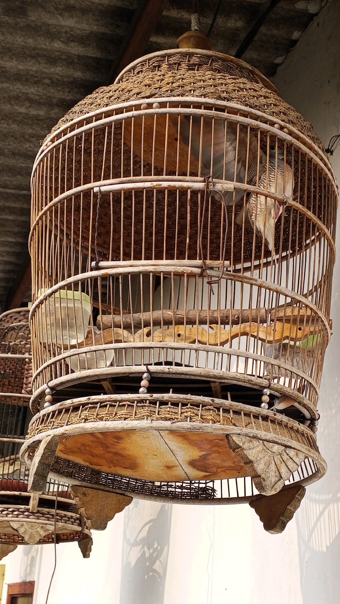 A close-up, low-angle, full shot shows a traditional, ornate birdcage hanging from a tiled roof. The cage is constructed from thin, vertical wooden or bamboo bars and a woven, domed top. Inside the cage, a small bird with gray and brown striped plumage is perched on a wooden dowel. To the left, another similar cage is visible, partially obscured. The background consists of a white wall with shadows cast upon it, suggesting an outdoor setting. The overall impression is one of rustic charm and traditional craftsmanship. This scene is likely located in Semarang, Indonesia, given the characteristic architecture of the birdcage and the common practice of keeping birds in such cages in Southeast Asia.