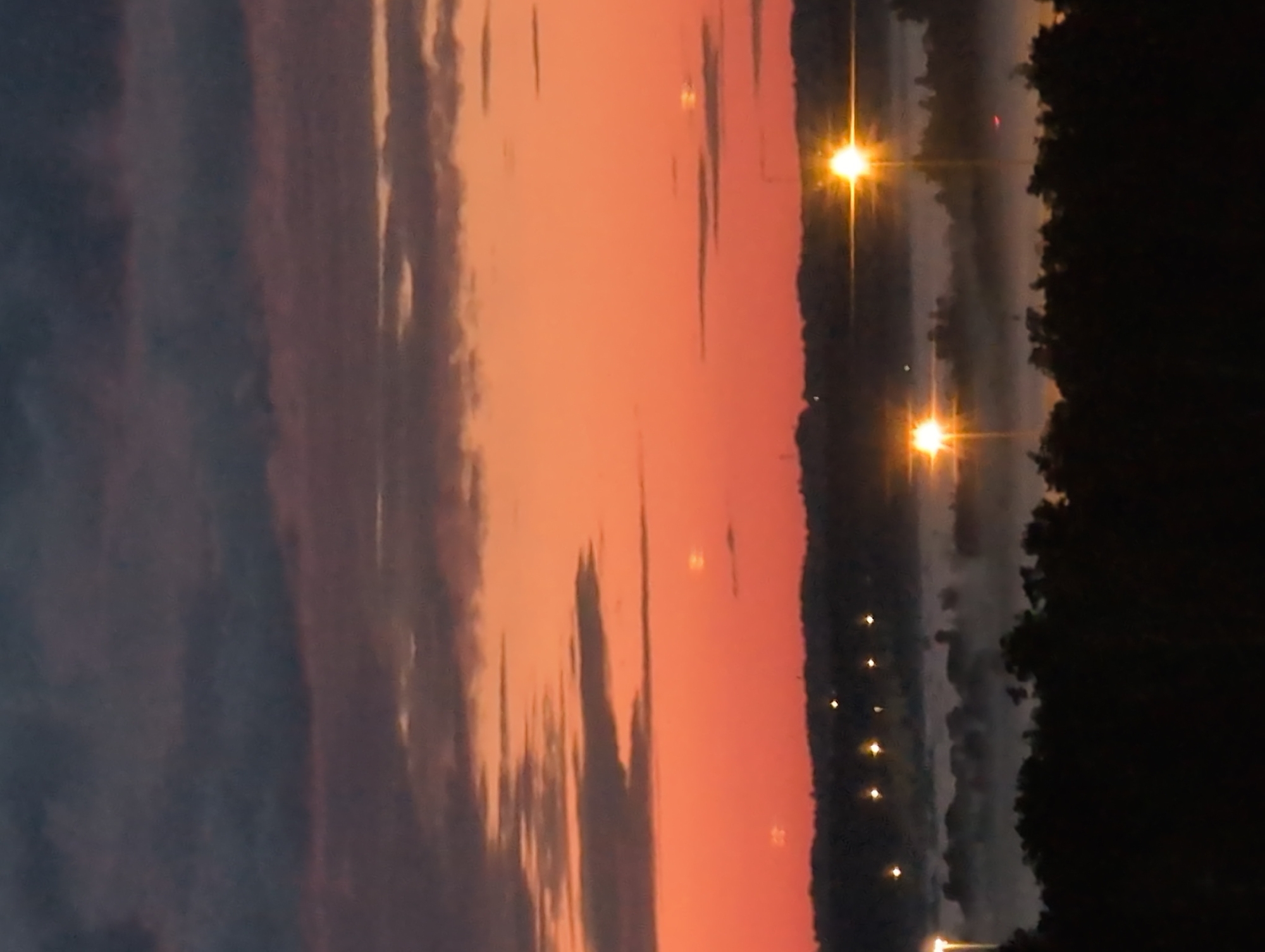 The image depicts a twilight scene, likely captured in Saint Petersburg, Russia, given the context. The sky is a vibrant gradient of oranges and purples, with dark, wispy clouds stretching across the frame. In the distance, a hazy landscape is visible, with a line of trees silhouetted against the sky on the right side of the image. Several streetlights with a warm, yellow glow are illuminating the scene, some appearing as bright, star-like points of light. The overall mood is serene and atmospheric, characteristic of a sunset or early dawn. The orientation of the image is vertical. No people or specific objects are clearly identifiable beyond the natural elements and man-made lights. The weather appears to be calm, with a possible presence of mist or fog contributing to the hazy effect in the distance.