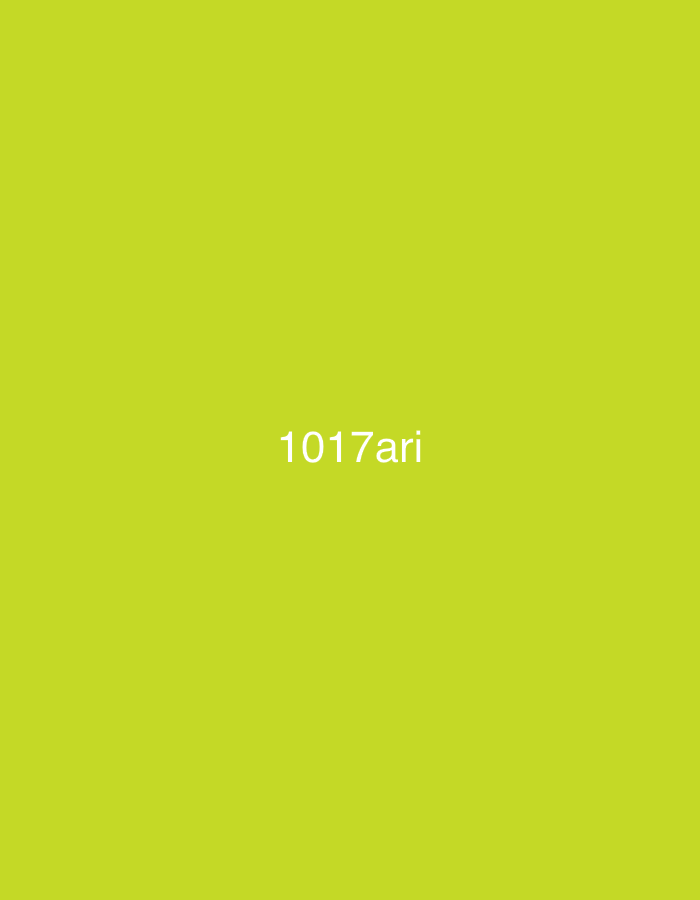 This image, observed in the context of the city of Casablanca, Morocco, displays a flat, solid lime green background. Centered horizontally and vertically on this monochromatic field is the alphanumeric text "1017ari" rendered in white. There are no discernible people, additional subjects, objects, actions, interactions, or environmental details present within the frame beyond the colored background and the text.