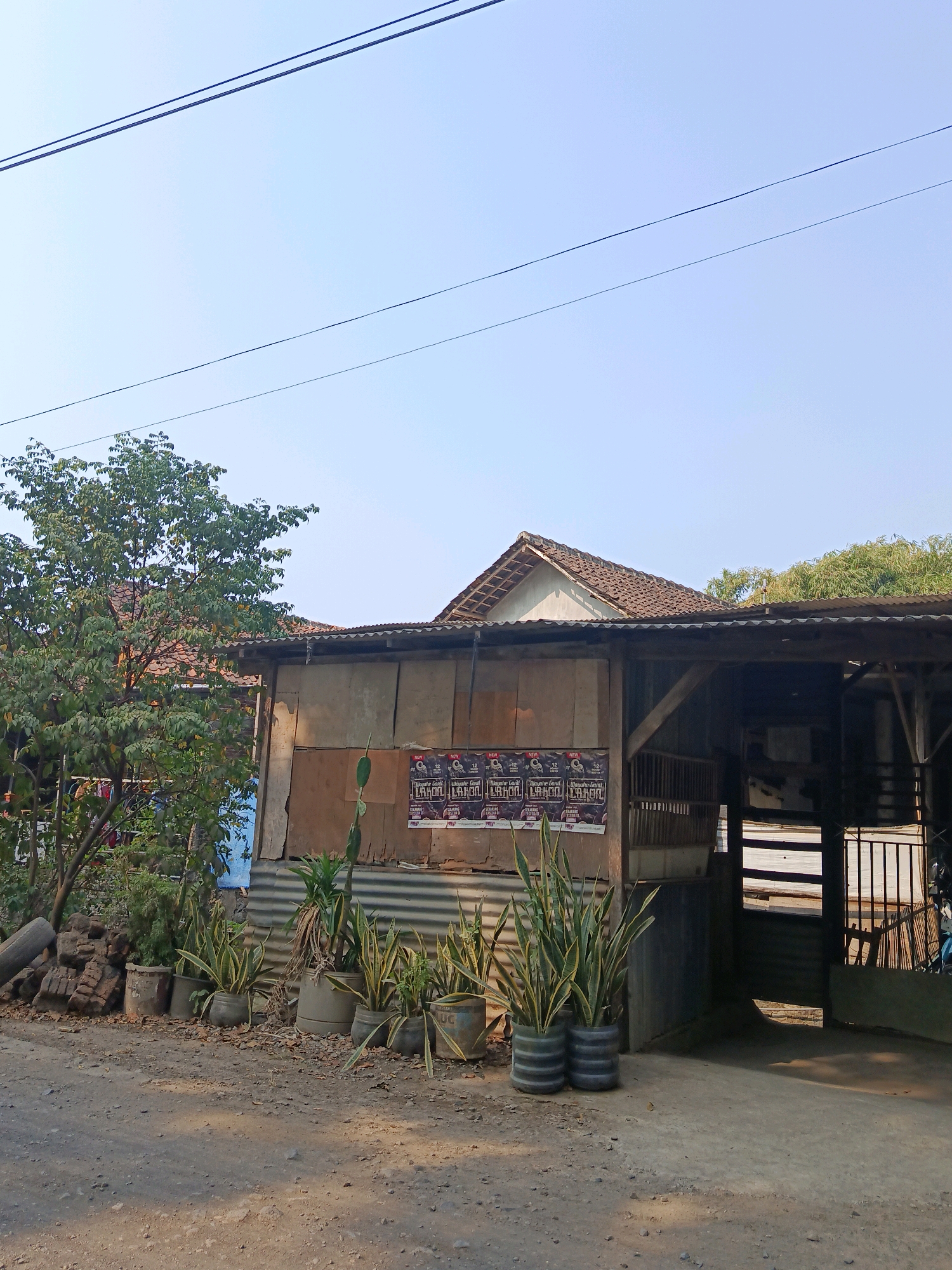 The image depicts an outdoor scene in the city of Ragil, Indonesia. The foreground is a dirt road with scattered leaves and pebbles. To the left, a pile of bricks and a discarded tire are visible. A row of potted plants, including snake plants and a cactus, lines the edge of the road in front of a rustic building. The building appears to be constructed with corrugated metal and plywood. Posters are affixed to the plywood section of the building. Behind this structure, a traditional tiled roof house is partially visible, surrounded by trees and foliage. The sky is clear and blue. The overall impression is that of a rural or semi-urban environment.