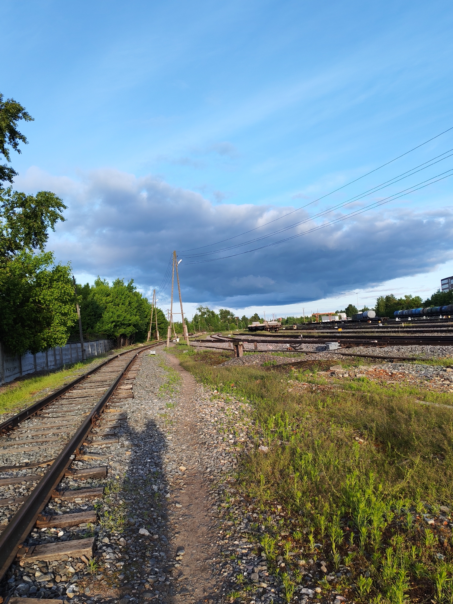 The image depicts a railway yard in Bol'shie Mkhi, Russia. Multiple sets of tracks converge and diverge. A row of train cars is visible in the background. Along the left side of the frame, a concrete wall runs parallel to one of the tracks, bordered by dense green foliage. Electrical poles and wires stretch above the tracks. The ground is covered in gravel and overgrown with vegetation. The shadow of a person is cast on the path next to the tracks. The sky is a mix of blue and dark, cloudy skies.