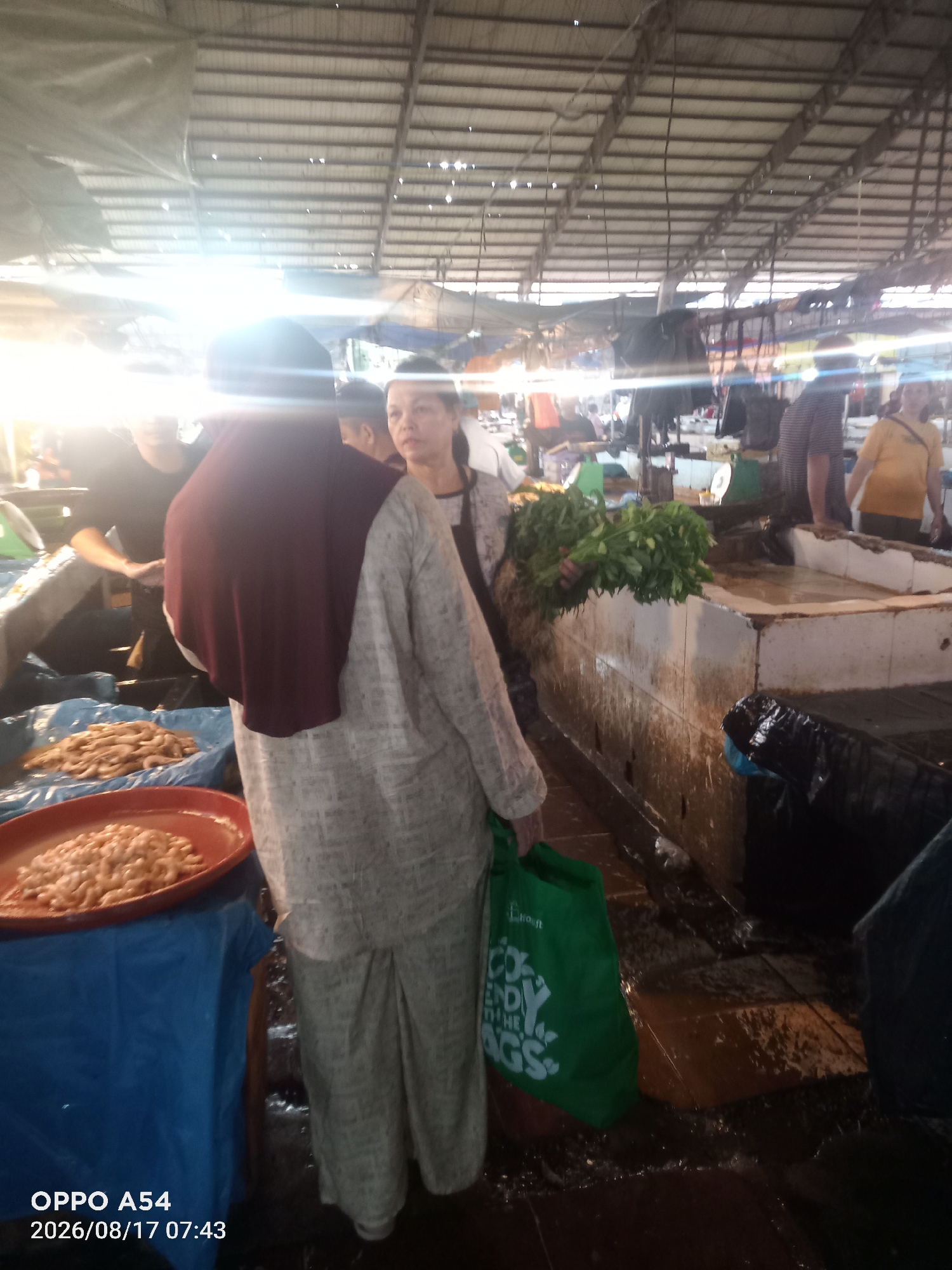 The image depicts a bustling market scene, likely a wet market, within the city of Jambi, Indonesia, as indicated by the timestamp "2026/08/17 07:43" and the phone model "OPPO A54". The environment is covered by a corrugated metal roof supported by beams, with some areas illuminated by bright overhead lighting, possibly sunlight filtering through gaps or large light fixtures. The floor appears wet and somewhat dirty, characteristic of a market where food is processed and sold.
In the foreground, a person wearing a light-colored, textured garment and a burgundy headscarf is standing with their back to the camera. To their left, a red dish holds a pile of small, pale shrimp or similar seafood. Next to this dish, a blue tarp is spread out, covered with a layer of the same seafood.
To the right of the person in the foreground, a woman with dark hair is visible, looking to her left. She is wearing a light-colored shirt with a darker pattern and an apron. In front of her, a large concrete counter or display area is filled with water. A person on the far right, wearing a yellow t-shirt, is partially visible.
Further back, other individuals are seen amidst stalls and displays. In the mid-ground, a large bunch of leafy green vegetables is being held by an unseen person. The overall atmosphere suggests a typical busy morning in a Southeast Asian market.