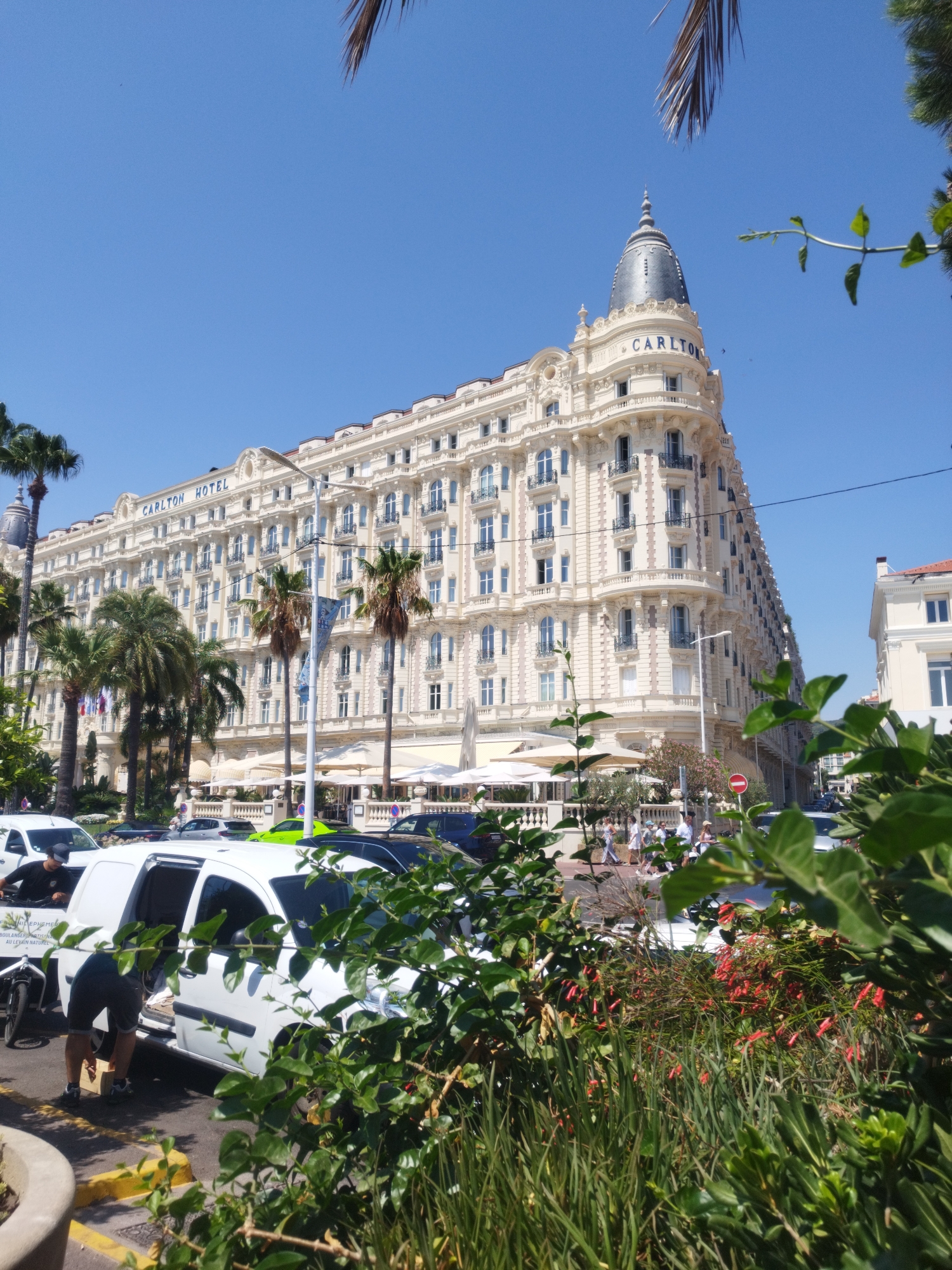 The image captures the Carlton Hotel in Cannes, France, under a clear blue sky. The grand, cream-colored hotel features a distinctive domed tower with "CARLTON HOTEL" written in blue lettering. Palm trees are scattered throughout the scene, with some in the foreground and others framing the hotel. In front of the hotel, there is a street with several white vans and cars. One white van has its rear door open, and a person is seen bending down near it, possibly loading or unloading items. Another person in a dark shirt and shorts is standing near the van. A bicycle with a cargo trailer is parked to the left of the van. Further down the street, there are people walking on a sidewalk, and outdoor seating areas with white umbrellas are visible outside the hotel. Lush green foliage and red flowers are prominent in the foreground, partially obscuring the view of the street and vans. The overall scene depicts a sunny day in Cannes, with the iconic Carlton Hotel as the central focus.