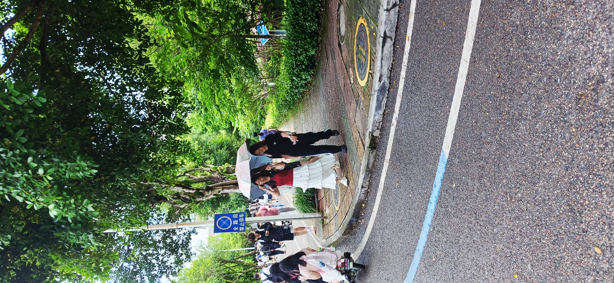 The scene captures a sidewalk in the Chongqing High-tech Zone, China, lined with lush green trees. A group of people are present, including two individuals sharing an umbrella as they walk. Several parked scooters can be seen along the street. The area includes a sidewalk, street, and a round manhole cover.