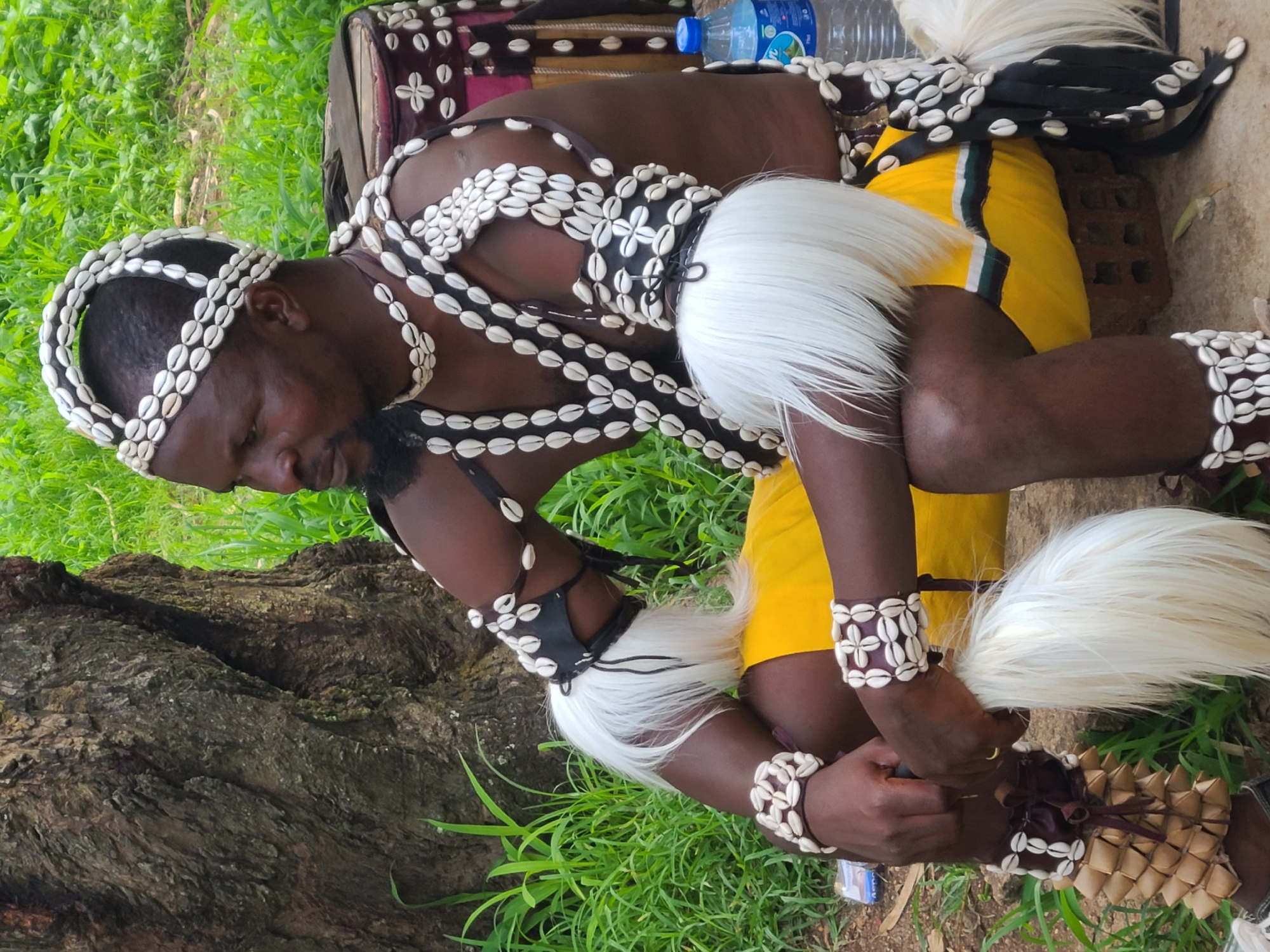 This media file shows a person adorned in traditional attire, likely for a cultural performance or ceremony, in Jos, Nigeria. The individual, a dark-skinned person with a beard, is wearing an elaborate headdress made of cowrie shells, which are also incorporated into a chest piece and bracelets. White, feathery accents are attached to the headdress and at the waist. The person is dressed in a yellow garment with green and black stripes. They are kneeling or crouching beside a rough-barked tree trunk, with lush green grass in the background. A portion of a patterned textile, possibly a bag or another garment, is visible behind the person, along with a blue plastic water bottle. The lighting suggests it is daytime, and the presence of green grass indicates an outdoor setting. The person's gaze is directed downwards, possibly focused on an object they are holding or adjusting, or simply in a moment of contemplation. The overall impression is one of cultural display and tradition.