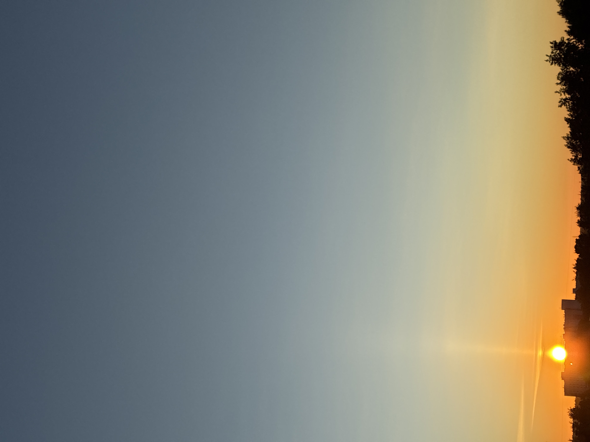 A vertical, low-angle, full shot captures a sunrise over a cityscape. The sky transitions from a deep, clear blue at the top to a pale yellow-orange near the horizon. The sun, a bright, glowing orb, is positioned just above a cluster of buildings silhouetted against the vibrant sky. A tall, thin beam of light extends vertically upwards from the sun. Dark foliage forms a dense line across the bottom of the image, partially obscuring the lower portions of the buildings and the landscape. The scene appears to be set in an urban environment, with the silhouette of buildings indicating a city. The exact location within the city is unknown.