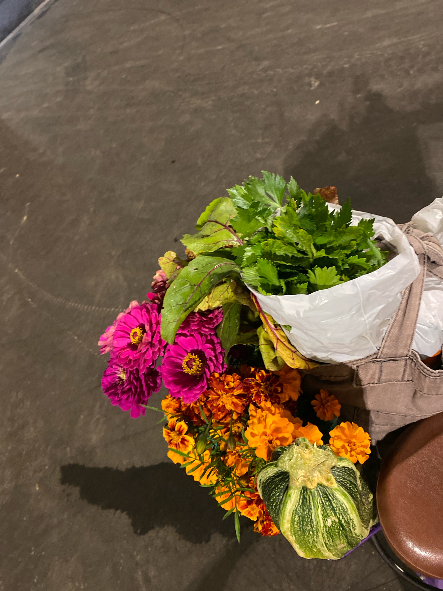 A close-up, top-down shot showcases a collection of fresh produce and flowers, likely a recent harvest, resting on a dark, textured surface. The subjects are arranged in a canvas tote bag. Dominating the frame are vibrant magenta zinnia flowers and a cluster of smaller orange marigolds, their petals unfurling with bright yellow centers. Interspersed among the flowers are leafy greens, including what appears to be celery or parsley and possibly beet greens with their distinctive crimson veins. A small, striped green squash, round and bulbous, sits near the bottom right of the arrangement. The background is a dark, mottled surface, possibly asphalt or concrete, with subtle lighter markings and shadows suggesting an outdoor environment. A section of a brown, padded object, possibly a bicycle seat, is visible on the right edge of the image. The lighting is dim, casting soft shadows and highlighting the textures and colors of the produce. No people are present in the frame.