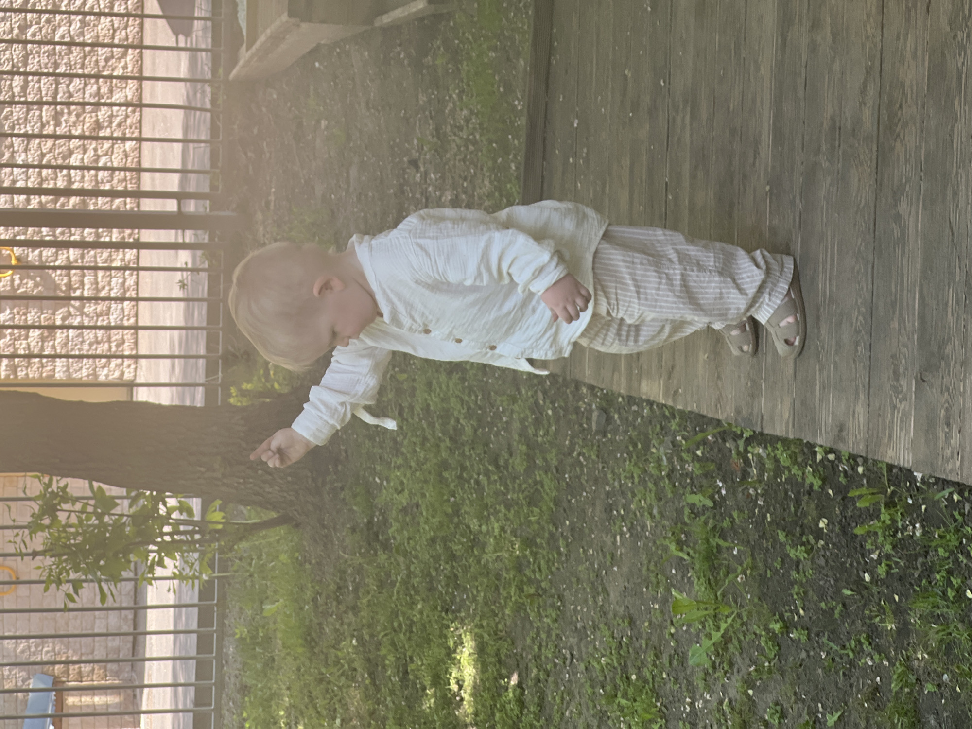 A young child, likely a toddler, stands on a wooden platform adjacent to a grassy area with scattered weeds, appearing to point towards the base of a tree situated near a metal fence. The child is dressed in a light-colored, button-down shirt and striped pants, with light-colored sandals on their feet. The fence borders what looks like a paved area. The setting suggests an outdoor space near a building. Although not definitively verifiable from the image, the style of the fencing and the general landscaping could align with urban parks or residential areas found in a city like Moscow, Russia.