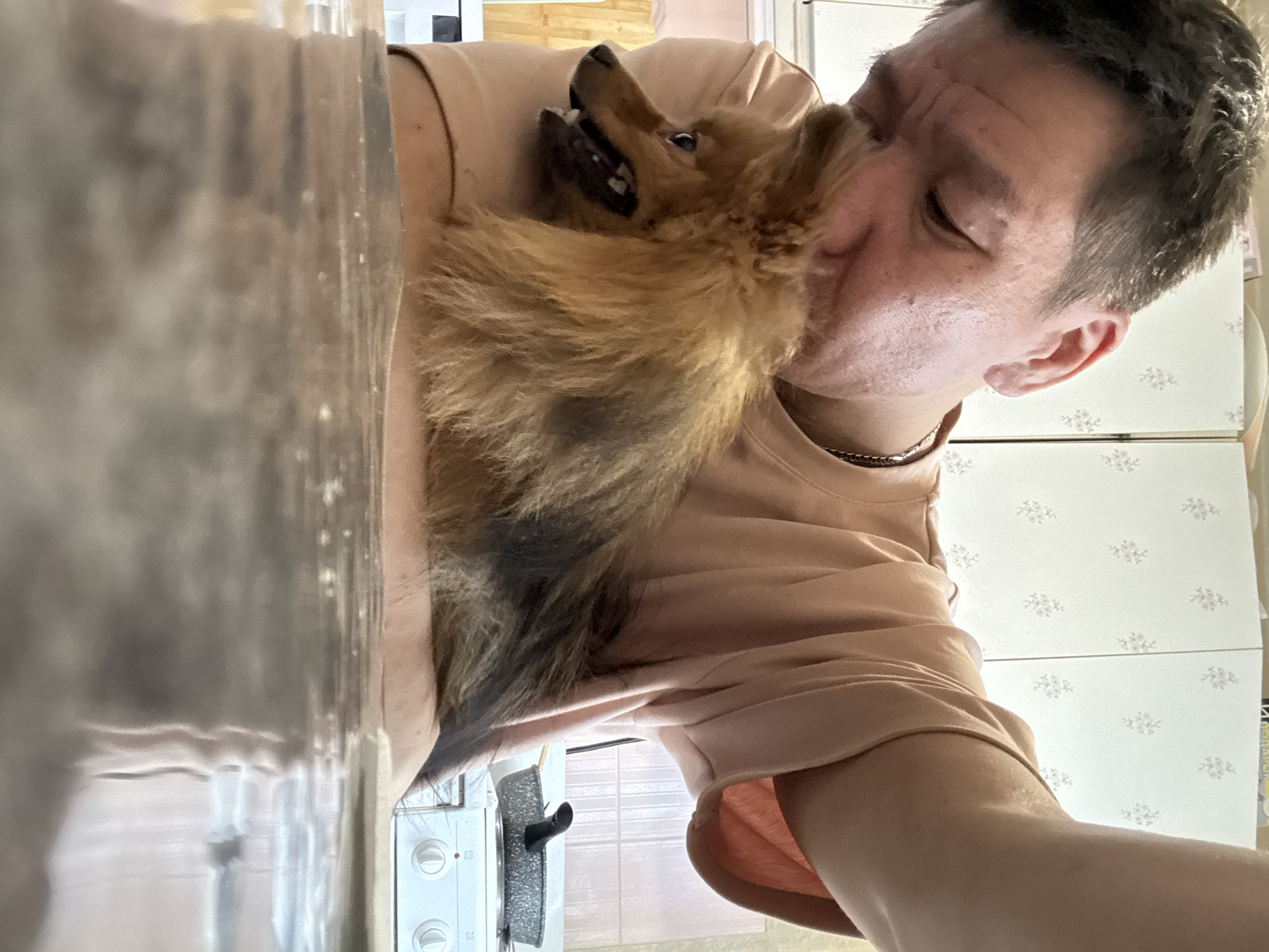 A person is holding a small, fluffy brown dog. The person is wearing a light pink t-shirt and has short dark hair. The dog is facing to the left, with its mouth slightly open, revealing its teeth. The background appears to be a kitchen with white cabinets and a stove. The image is taken from a close-up perspective, focusing on the person and the dog.