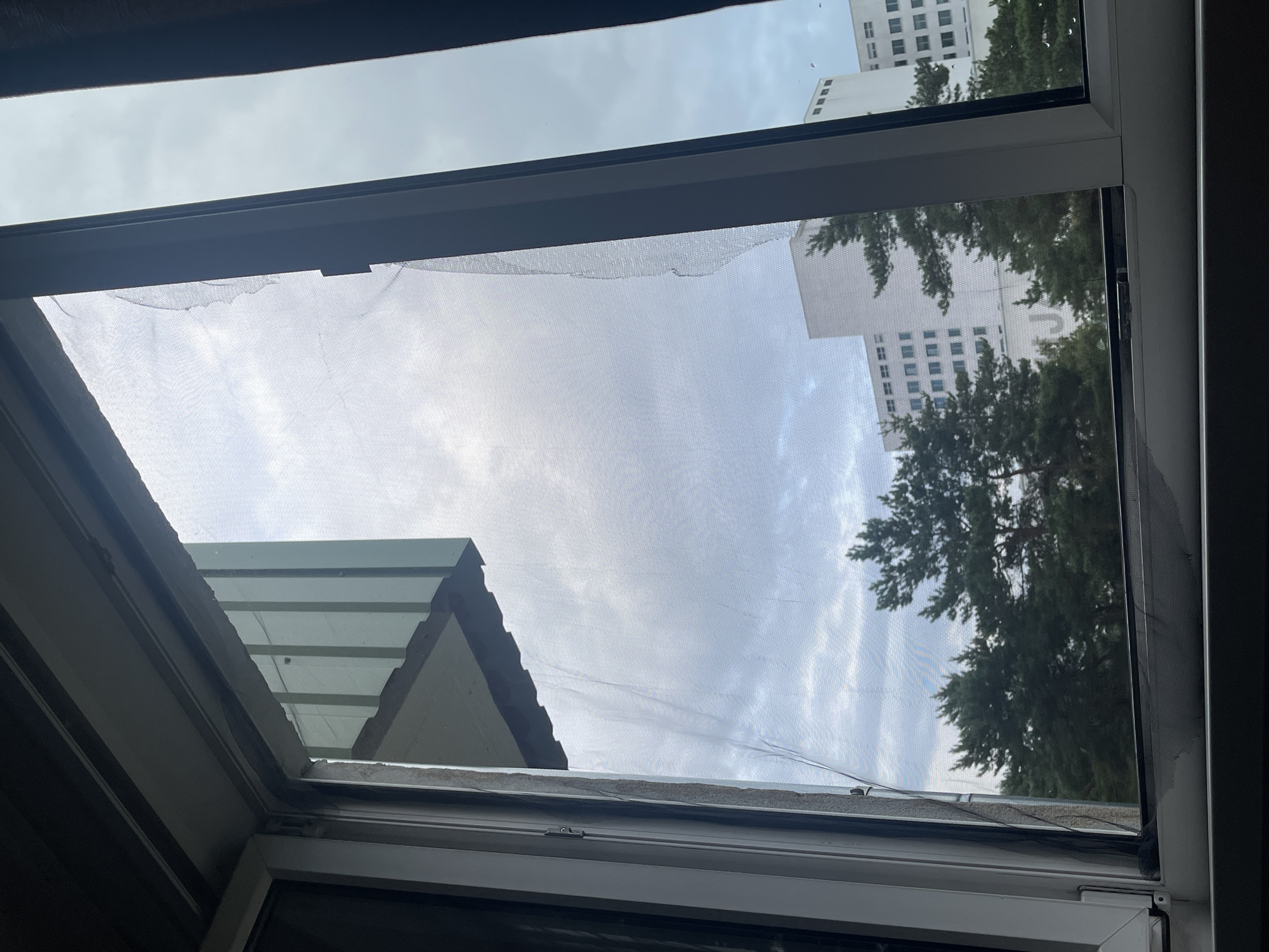 This is an indoor close-up, eye-level shot of a broken window screen viewed from within a building. The screen is torn and frayed along the right edge and the top left corner. Through the torn screen, a cloudy sky and trees are visible, as well as two large, white apartment buildings with numerous windows. One building is partially obscured by trees, and the other building has a white facade with many rectangular windows. The scene is likely from an urban environment, possibly residential given the apartment buildings. The specific location in Tallinn, Estonia cannot be determined from the image alone.
