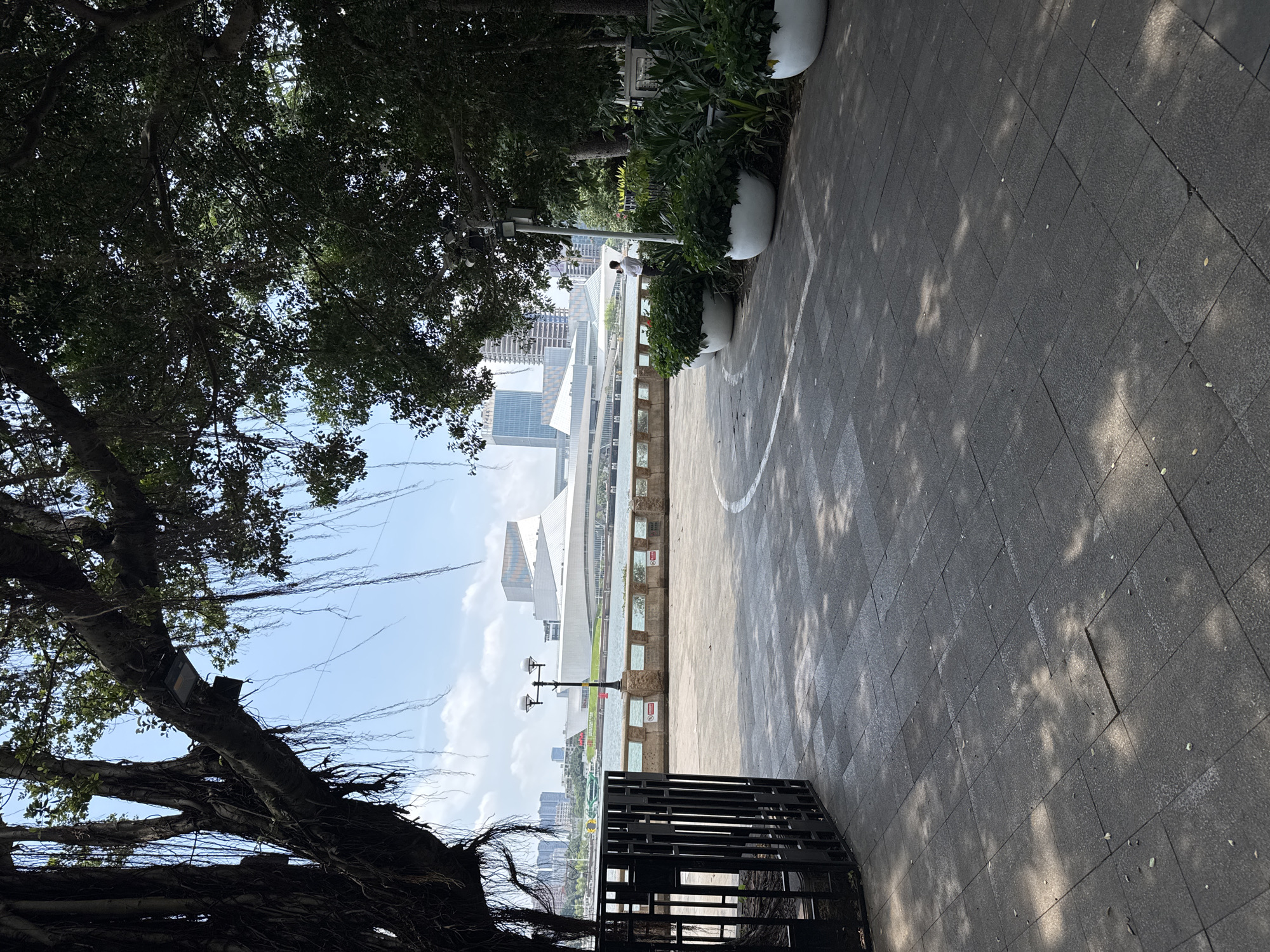 The image shows a paved pathway along a waterfront in Liwan District, China. A large tree with aerial roots overhangs the pathway, partially obscuring the view. Along the path are concrete planters with greenery and a metal barricade. In the distance, modern high-rise buildings are visible across the water under a partly cloudy sky. A person is standing near a lamppost along the water's edge. The pathway is paved with gray tiles.