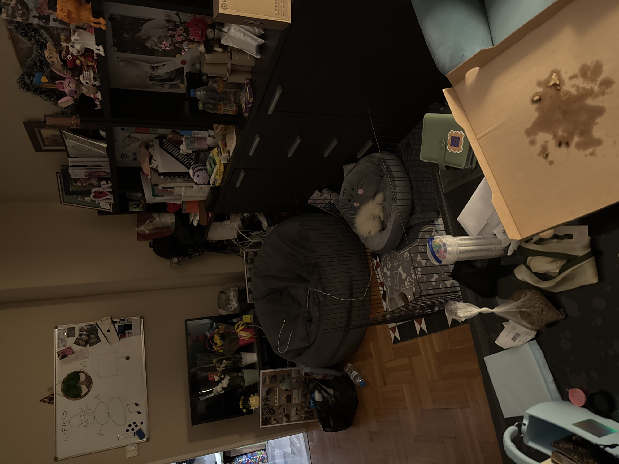 The image shows an indoor scene, seemingly a cluttered living area. The room contains a variety of furniture, including a dark-colored dresser or cabinet, a light blue sofa, and a dark-colored coffee table. A beanbag chair is visible in the middle of the room. The coffee table is covered with various items, including a pizza box with what appears to be a stain, a pet bed, a bag of pet food, and other miscellaneous objects. A whiteboard with a drawing is mounted on the wall. The exact location in Sofia, Bulgaria, cannot be determined from the image.
