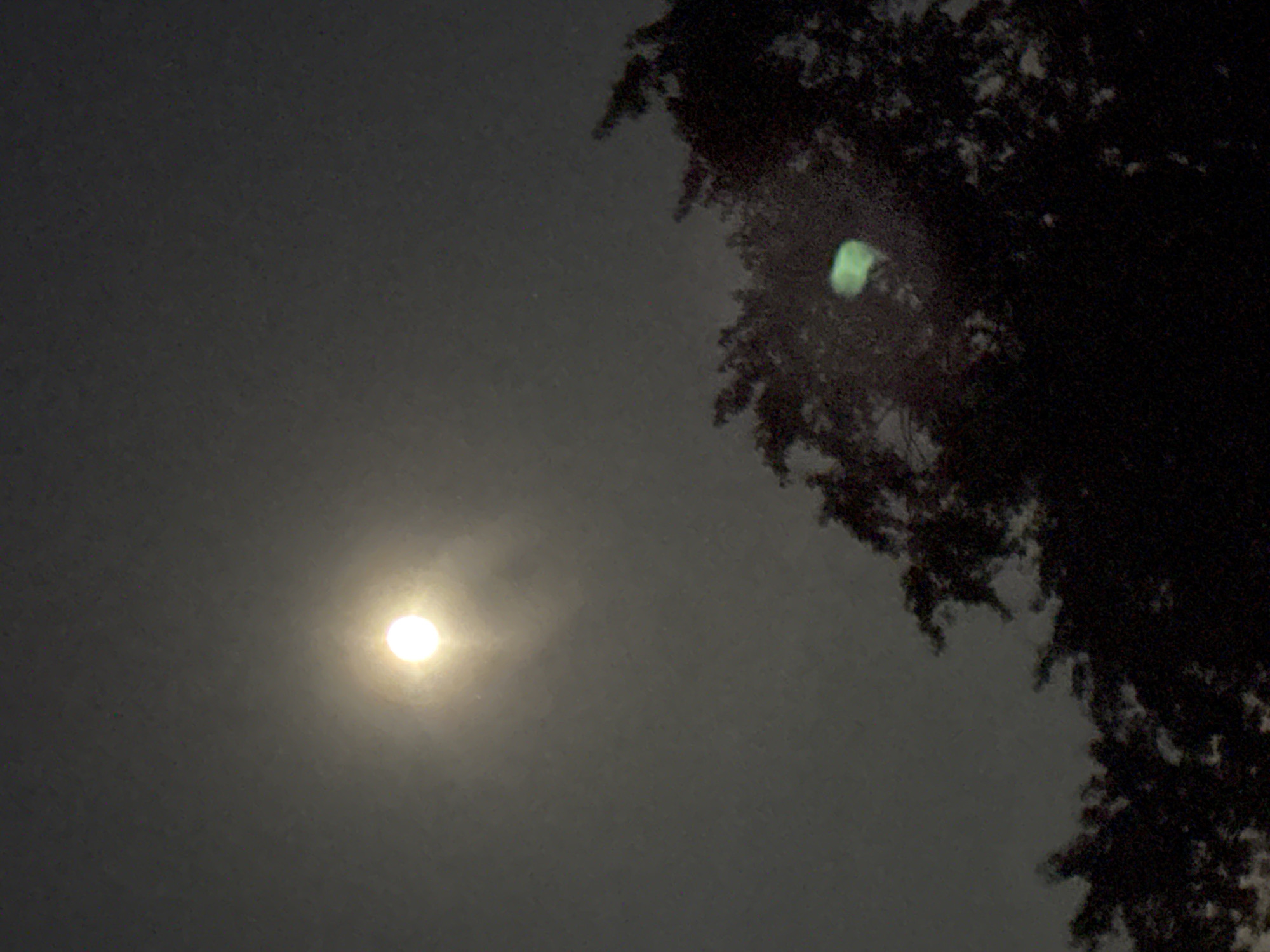 The image shows a dark sky with a bright, circular light source, likely the moon, in the upper left quadrant. A halo or lens flare emanates from this light. Silhouetted against the sky are the dark, leafy branches of a tree that fill the lower portion of the image. A faint, greenish-blue circular anomaly, possibly another lens flare or an artifact, is visible within the tree's foliage. The overall scene appears to be an outdoor nighttime setting. There is no visible indication of Lübeck, Germany in the image.