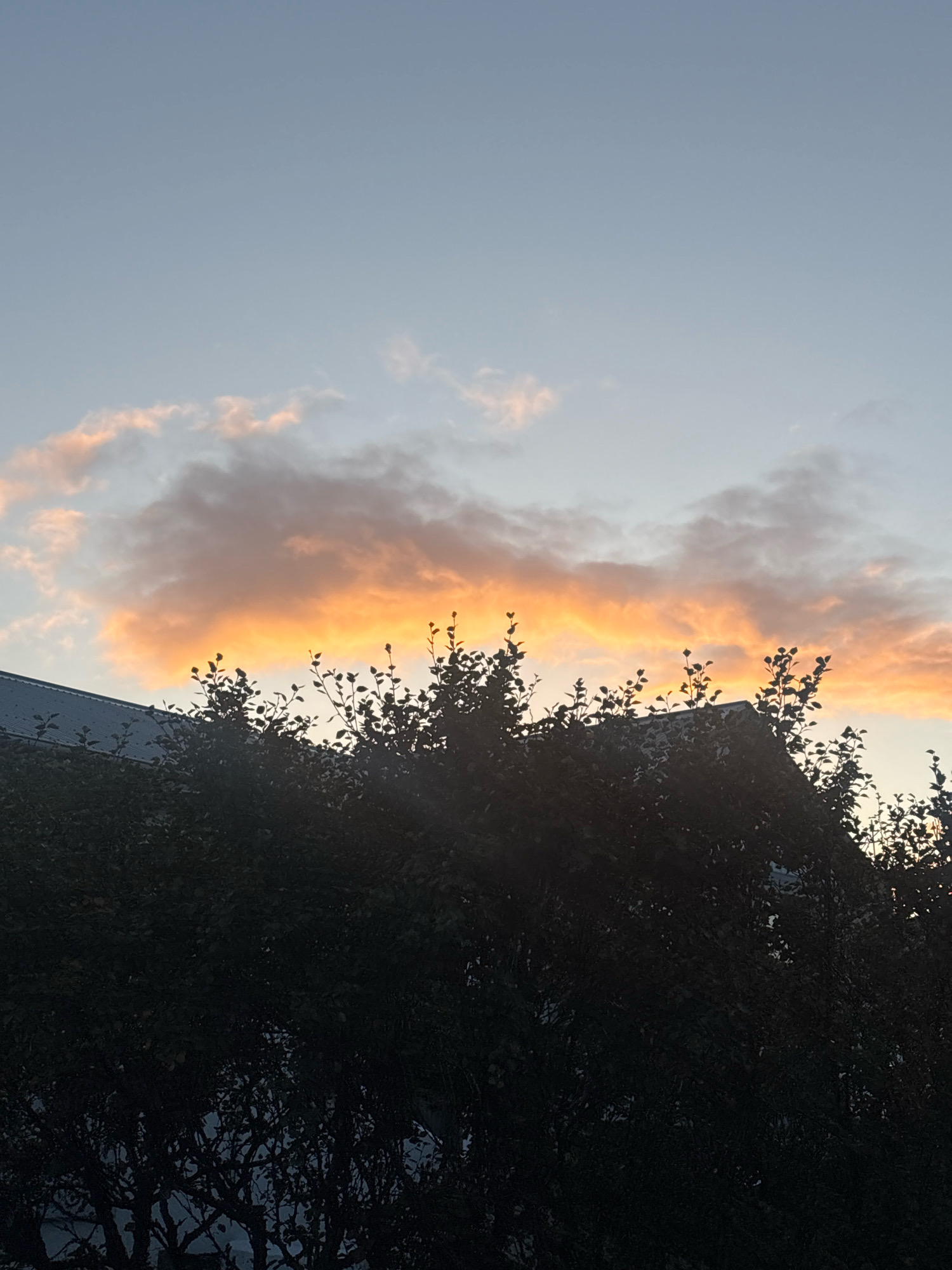 This is a photograph of a sunset sky with orange and pink clouds visible above dark silhouettes of trees and the roof of a building. The sky is a pale blue, fading to a lighter hue towards the top of the frame. The clouds are clustered towards the center and right of the image, illuminated by the setting sun. The trees are dense and leafy, obscuring much of what might be behind them. A portion of a dark, angled roof is visible on the left side of the image, suggesting an urban or suburban setting. The overall mood is serene and natural, typical of a twilight scene. Without further context or identifying landmarks, it is impossible to definitively pinpoint the location within Reykjavik, Iceland.