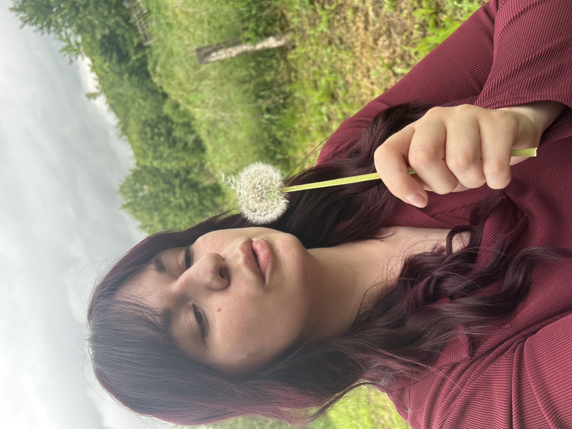 The image depicts a female subject outdoors in the city of Фоки, Russia, engaged in the act of blowing a dandelion. The subject is shown from the upper chest upwards, with her head angled slightly down and to the right, and her lips pursed, indicating exhalation towards the dandelion. She has long, wavy, dark auburn hair with bangs and appears to have fair skin with several small moles or freckles visible on her cheek and forehead, and a slight redness on the bridge of her nose. She is wearing a long-sleeved, ribbed shirt in a deep maroon color.
Her left hand holds a fully seeded dandelion clock by its pale green stem, positioned centrally in front of her. Several detached dandelion seeds are visible airborne just above the main dandelion head, indicating the action is in progress. The background features an overcast, light grey sky. Below the sky, a landscape of lush green trees and dense foliage covers a gentle incline. The immediate foreground and mid-ground consist of dry, greenish-brown grass or earth, with two weathered wooden posts standing vertically towards the right side of the frame.