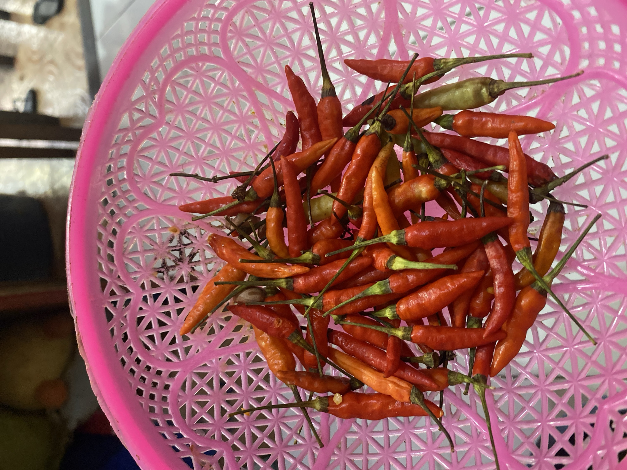 A top-down view shows a pink plastic basket filled with numerous red and orange chili peppers. The basket has a patterned interior with heart shapes. The chili peppers are of varying sizes and ripeness, with some appearing more dried than others. A few green stems are visible on some of the peppers. The background is blurred, but appears to be an indoor setting with a tiled floor. The image was taken in Ta', Indonesia.