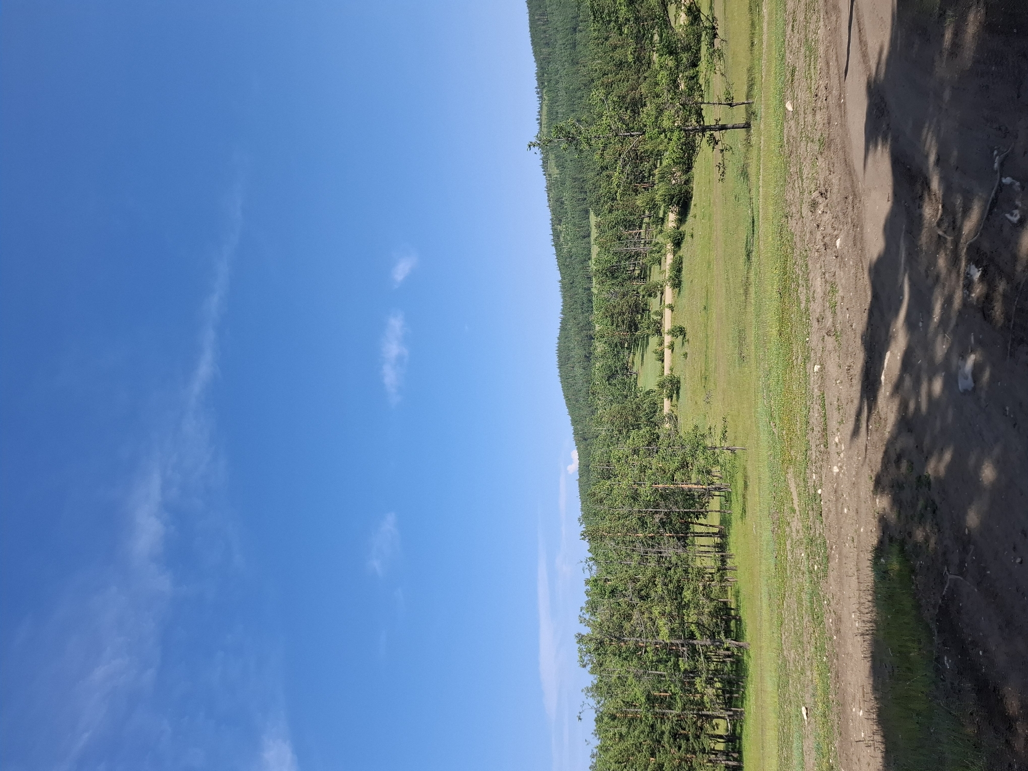 The image depicts a scenic view of a hilly landscape with a dense forest covering the slopes. In the foreground, there is a dirt path with scattered rocks and shadows cast by unseen trees. A grassy field stretches from the path towards the forest. The sky is a clear, bright blue with a few wispy clouds. The scene appears to be a natural, undeveloped area, consistent with the rural environment of Bugul'deika, Russia, located on the shores of Lake Baikal. There are no people or visible human activity in the image, suggesting a quiet, natural setting.