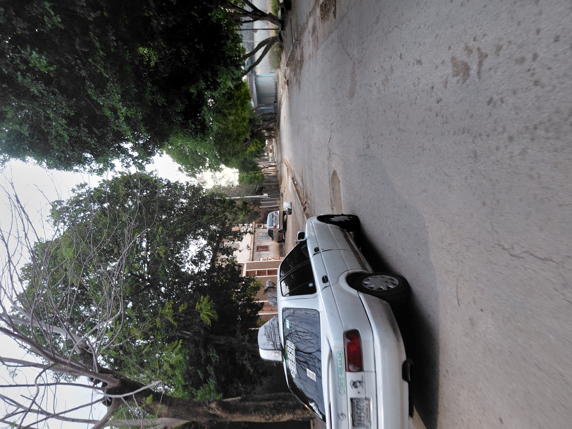 The image depicts a street scene in Santa Ana, Venezuela, under diffused natural light, suggesting an overcast day or early morning/late afternoon. A white four-door sedan, identified as a taxi by the "Decotaxi" roof sign and decals, is positioned in the left foreground, facing away from the viewer and angled slightly towards the right. The vehicle's license plate, "1115421", is visible on the rear. Green text, partially obscured, is present on a rear spoiler and additional text including "007" and phone numbers like "042-492-84-54" are visible on the rear window. The car appears to be either parked or moving slowly.
The asphalt road surface exhibits cracks and uneven patches, with some dirt and debris accumulated along the shoulders. On the left side of the road, several large trees with substantial trunks and both bare and fully foliated branches line the street. A light-colored building is partially visible behind the taxi. Further down the street on the left, a silver vehicle is parked.
On the right side of the road, a dirt shoulder with sparse vegetation borders the cracked pavement. Numerous large trees with dark green foliage stand along this side, providing significant shade. In the mid-distance, several single-story, utilitarian buildings with simple facades are visible. The street continues into the background, curving slightly to the right, with more trees and residential or commercial structures discernible. No individuals are present in the scene.