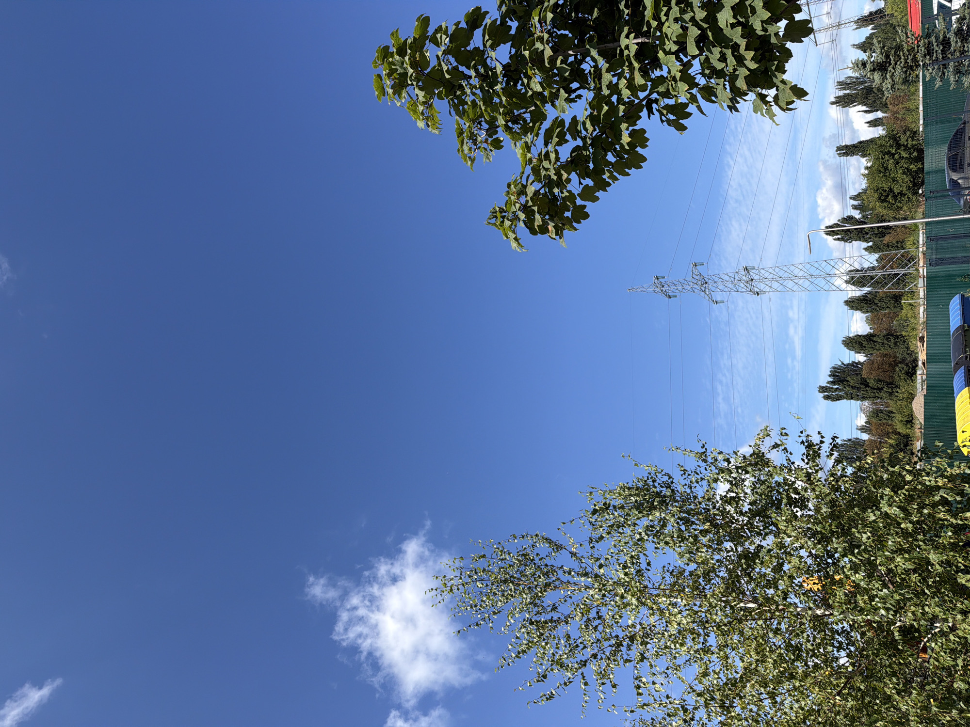 The image depicts a bright, sunny day with a clear blue sky dotted with wispy white clouds. In the foreground, two trees are visible. The tree on the left is a deciduous tree with abundant green foliage, its branches reaching upwards. To the right, another tree with larger, darker green leaves is partially visible, its branches extending into the frame.
In the background, a tall, silver metal power pylon stands prominently, with multiple power lines stretching across the sky. Beyond the pylon, a line of dark green, tall, slender trees forms a dense backdrop. Further in the distance, a green fence runs horizontally across the lower part of the image. Some trash bins, one yellow and blue, are partially visible near the fence. A street light is also present. The overall scene suggests an urban or suburban environment, likely on the outskirts of a city, with infrastructure and vegetation coexisting under a clear sky. The presence of the power lines and pylon indicates a connection to electricity distribution.