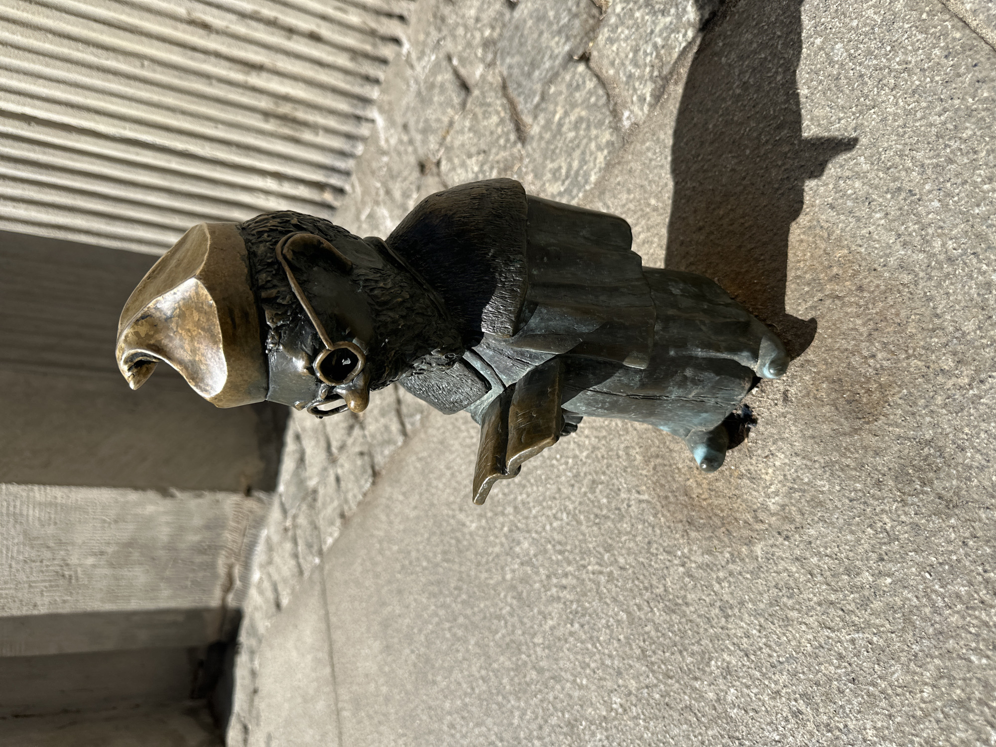 A close-up shot depicts one of Wrocław's dwarfs, a small bronze statue, jutting out from a stone wall. The dwarf is facing left, featuring a distinctive golden-colored metal pointed hat. The rest of his body and clothing are bronze-colored. The stone wall provides a neutral backdrop. To the left, a staircase with stone steps is partially visible. The lighting indicates daylight, casting a distinct shadow on the stone wall.