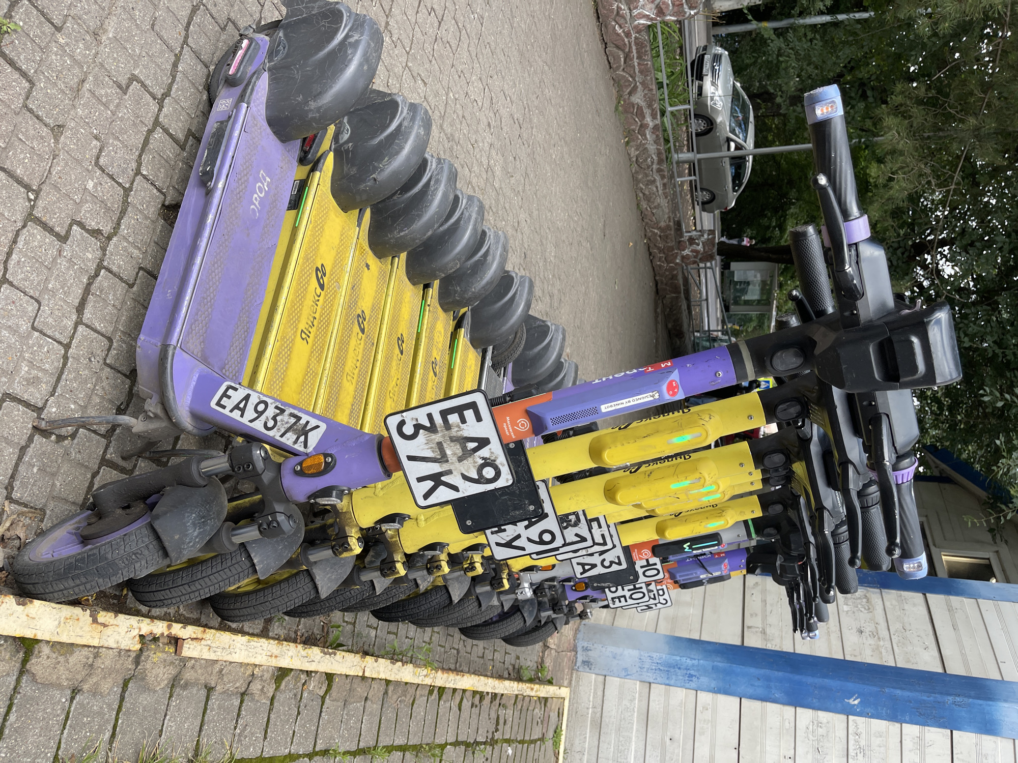 A line of parked electric scooters is captured in a medium shot, facing right. The scooters are predominantly purple and yellow, with black handlebars and fenders. Some have license plates visible. The scooters are parked on a paved surface made of interlocking gray bricks. Behind the scooters, a light-colored building with blue trim is partially visible. A silver car is parked on a road in the background, which is bordered by a low stone wall and greenery. The overall scene suggests an outdoor urban environment.