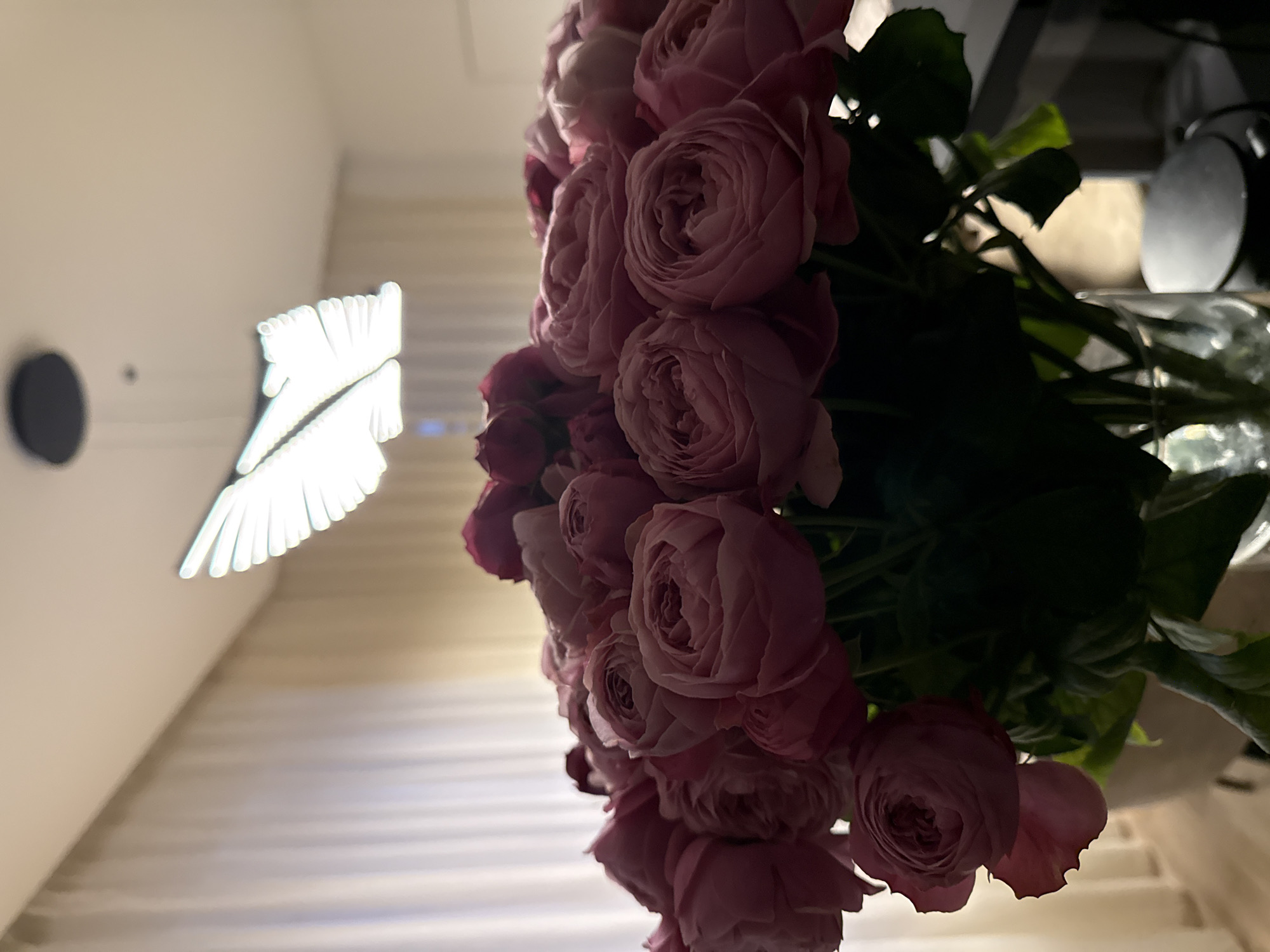 The image depicts a bouquet of pink roses in a glass vase, situated indoors. A modern pendant light fixture hangs from the ceiling in the background. The environment suggests a home setting. No people are visible. There is no evidence to determine that the location is in the city of Krasnoyarsk, Russia.
