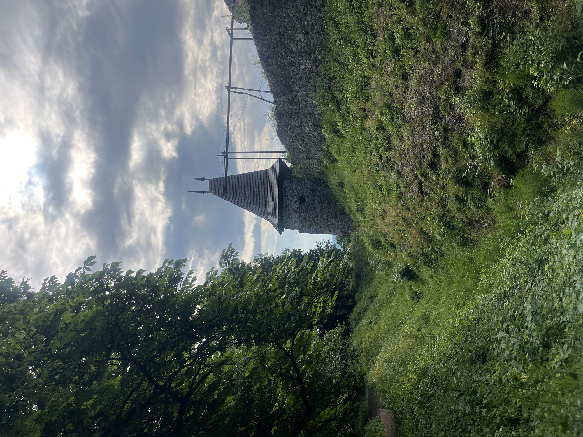 The image displays a historical stone tower and a rugged stone wall, enveloped by vibrant green vegetation under a dynamic sky. The scene is captured from a slightly low angle, looking upwards towards the structures.
In the mid-ground, a distinctive stone tower stands tall, crowned with a dark, conical, shingled roof that tapers to a point, featuring two prominent pointed finials. The tower's walls are constructed from textured stone, and a small, dark opening, possibly a window, is visible. Extending to the right from the tower is a substantial stone wall, likely a defensive fortification, parts of which are overgrown with thick green moss and bushes.
The foreground is dominated by lush greenery. On the left, the leafy branches of a large tree fill a significant portion of the frame, providing natural framing. To the right, a sloping hillside is densely covered in various types of green grass and foliage, with a faint, unpaved path winding through it towards the bottom right.
The sky above is a mix of bright white and grey clouds, with patches of sunlight breaking through, suggesting a daytime scene, possibly late morning or afternoon. The light casts bright highlights on the clouds and the tower's roof, while other areas, particularly some foreground foliage, are in softer shadow. Above the stone wall, several wooden posts or supports with visible wires or lines stretch across the frame. The image conveys a sense of history and nature, depicting what appears to be an ancient structure nestled within a verdant landscape in Kamianytsia, Ukraine. No text is visible in the image.