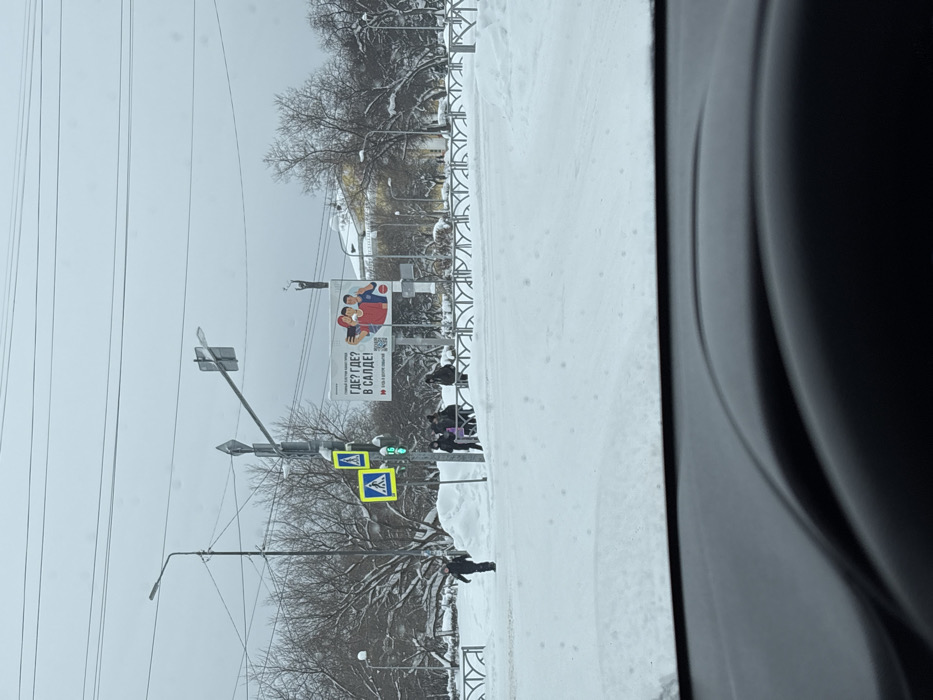 From inside a car, a snow-covered urban scene is viewed. A pedestrian crossing with a green light and pedestrian signs is visible. People are crossing the street. A large billboard with a colorful advertisement stands to the side of the road. Trees, covered in snow, line the street. Power lines stretch across the sky. The visibility is low due to the snowy weather.