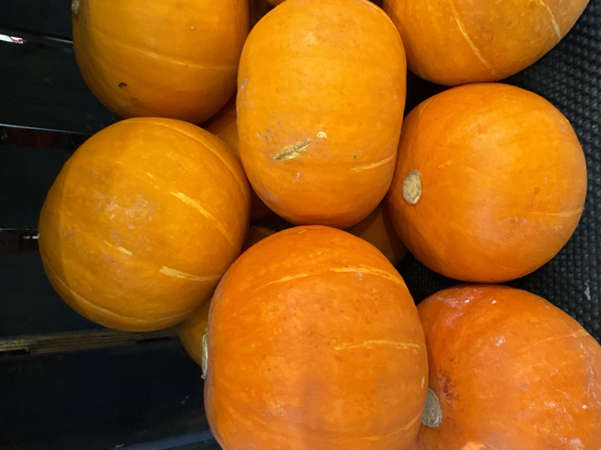 The image shows a close-up of several orange pumpkins packed together. The pumpkins vary slightly in shape, with some being round and others more oval. They exhibit minor surface imperfections and markings. The pumpkins are situated in what appears to be a container or crate, with glimpses of dark gray material or wood visible in the background. The image was taken in Kuta Selatan, Indonesia.