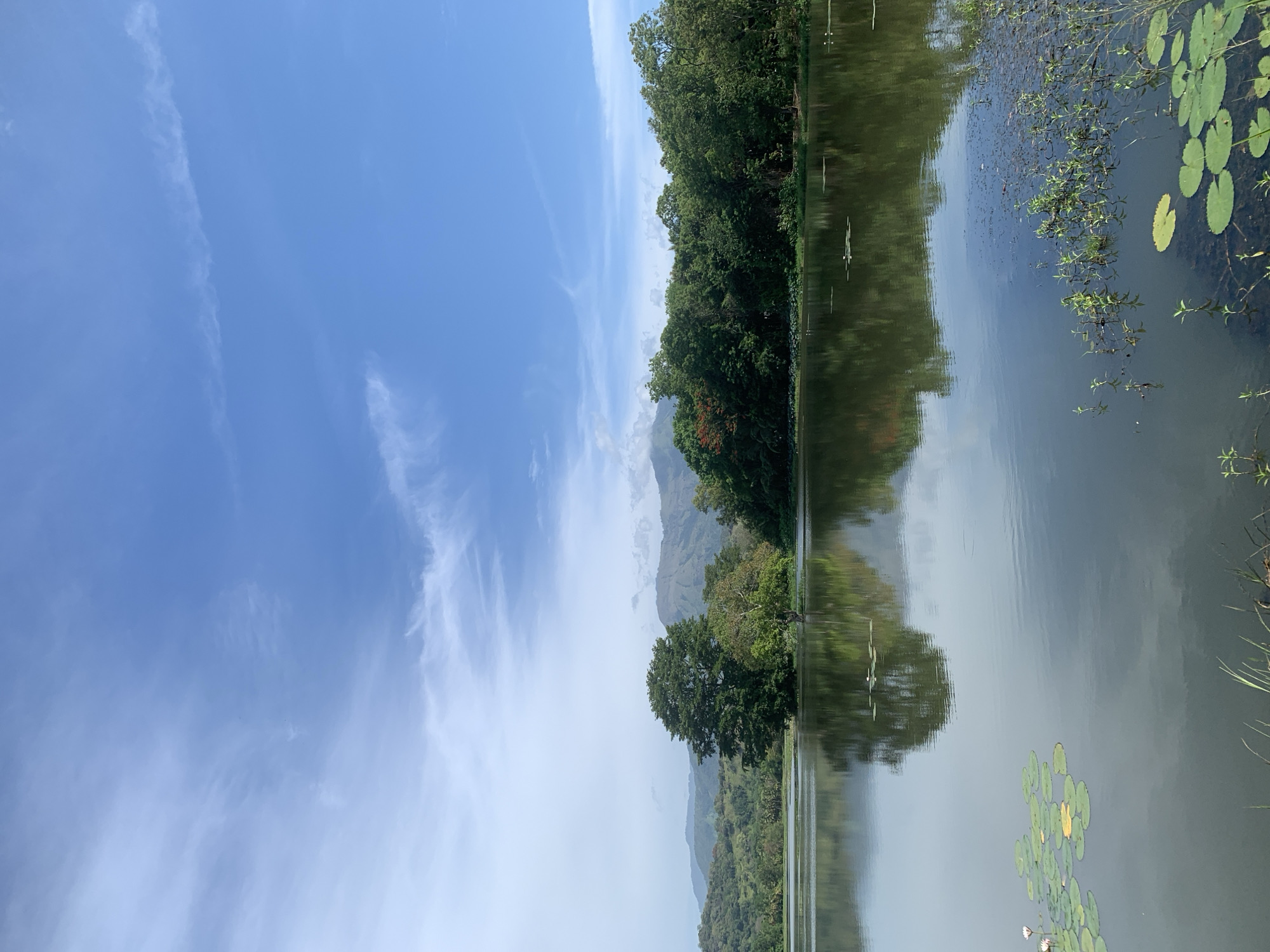 A serene lake reflects a clear blue sky dotted with wispy white clouds. Lush green trees line the far bank of the lake, their dense foliage interrupted by glimpses of distant, rolling mountains. In the foreground, lily pads with occasional white flowers float on the calm water. This tranquil scene is located in Buduruwagala, Sri Lanka.