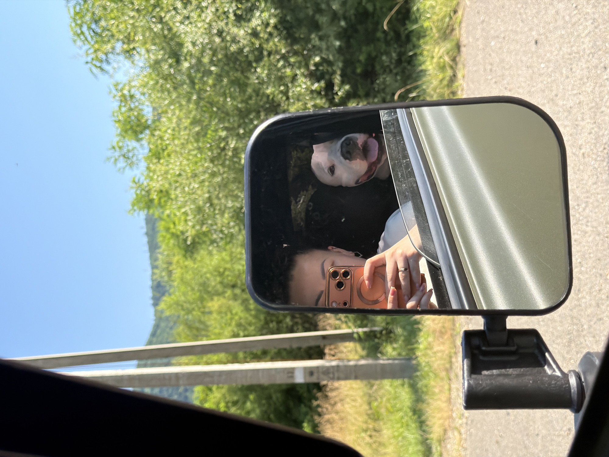 A selfie is taken in the reflection of a vehicle's side mirror. The person taking the selfie is partially visible, holding an orange smartphone. In the background of the mirror's reflection, a dog with a light-colored face and pink tongue sticking out is visible in the passenger seat of the vehicle. The vehicle is outdoors, with green foliage and trees visible in the background, suggesting a rural or natural setting. The sky is clear and blue. The vehicle's exterior, a muted green, is also visible. The overall impression is a snapshot of a car trip with a pet on a sunny day. The location of Krasnoe, Russia, is not discernible from the image.
