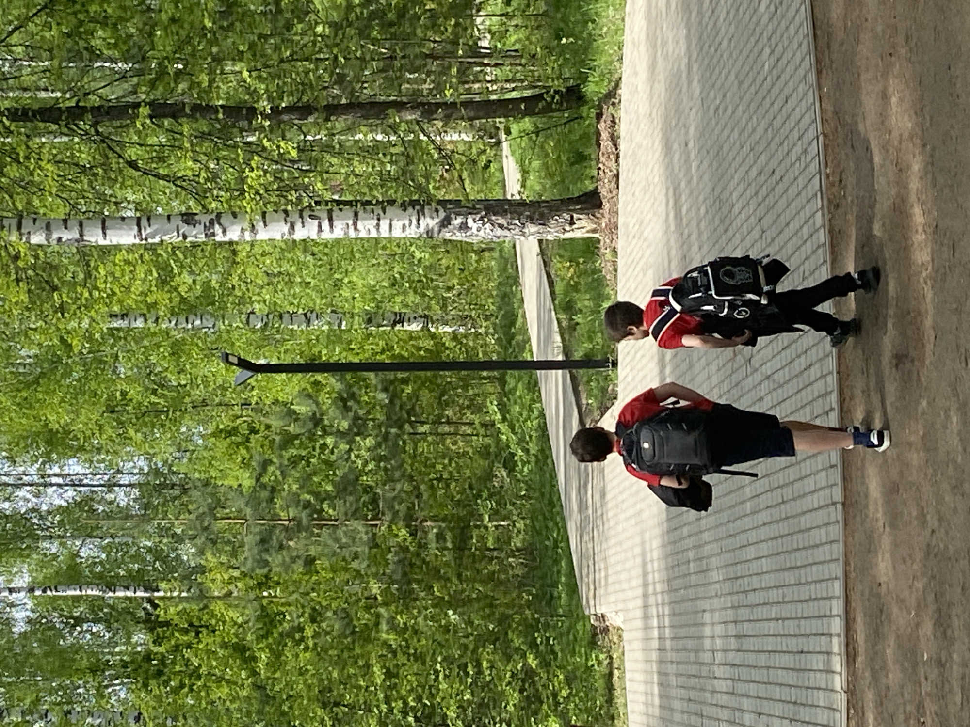 Two young people are walking down a path in Noviy, Russia. The path appears to be paved with light-colored tiles, and is bordered by a grassy area with trees. The trees are mostly birch, with white bark. One person wears a red and black shirt, black pants, and carries a backpack. The other person wears a red shirt, dark blue shorts, and carries a dark-colored backpack. They are walking away from the viewer. A tall, black light pole stands on the edge of the path.