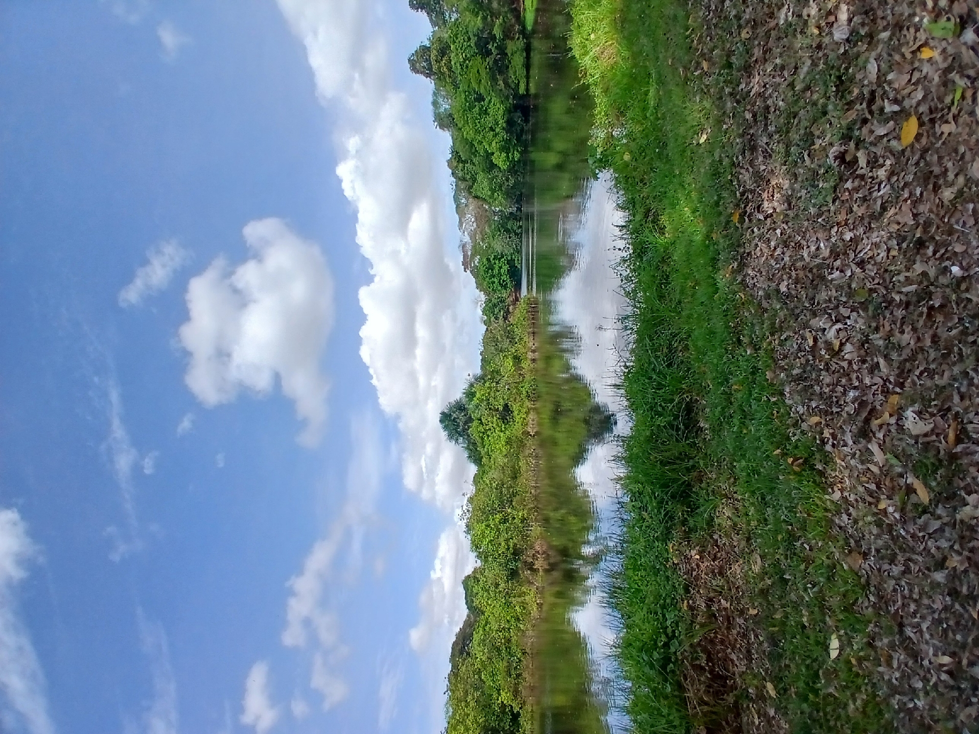 The image shows a body of water, possibly a canal or narrow lake, with trees and vegetation along its banks. On one side of the water, there's a bank covered in fallen leaves and grass. The sky is blue with some white clouds. The reflection of the trees and clouds can be seen in the water. There are no people visible. The location is suggested to be in Guayana City, Venezuela.