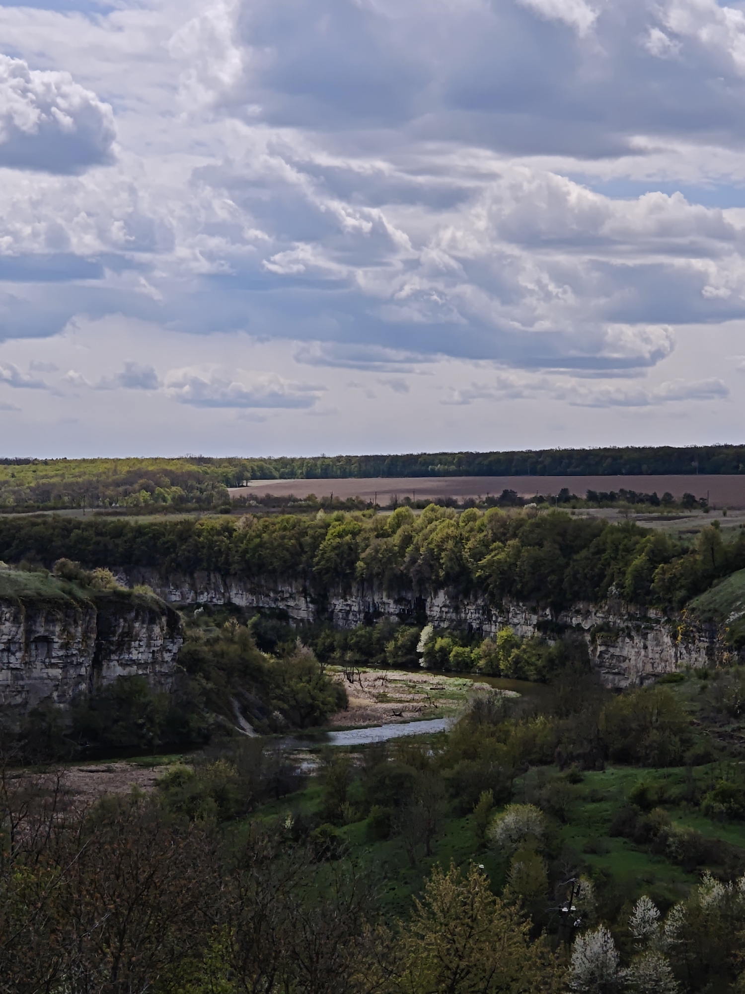 The image presents a panoramic overhead view of a river canyon, characteristic of the landscape near Kamianets-Podilskyi, Ukraine, likely featuring the Smotrych River. The scene is dominated by steep, rocky cliffs that descend into a gorge where a narrow river flows.
The cliff faces are composed of light-colored, layered rock formations. Both the canyon walls and the surrounding terrain are richly covered in diverse vegetation, including a mix of deciduous trees, bushes, and green grass. Many trees display vibrant light green foliage, and some in the foreground and along the riverbanks have white blossoms, indicating springtime.
Beyond the immediate canyon, the landscape flattens into distant plains. A dark green band of forest forms the horizon line, and further afield, a large, cultivated field with brown, tilled earth is visible.
The sky above is filled with a dynamic array of white and grey cumulus clouds, suggesting a partly cloudy day. The lighting is bright and diffuse, without strong shadows, indicating it is daytime, likely late morning or early afternoon. No people or visible text are present in the image, emphasizing the natural and untamed beauty of the landscape.