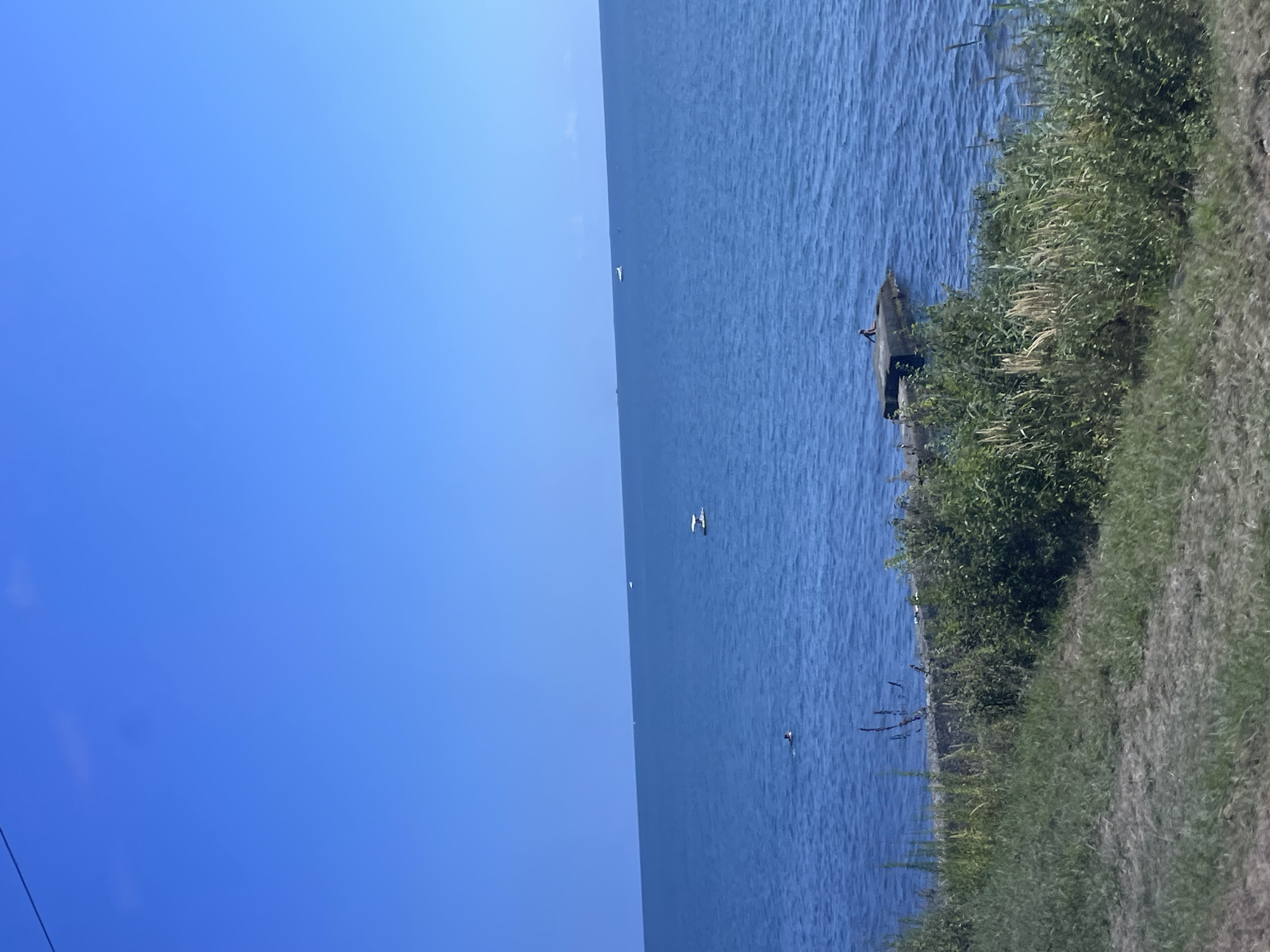 An outdoor, medium-shot image captures a view of the Black Sea under a clear blue sky. In the foreground, a grassy embankment slopes downwards, separating the viewer from the water. Further back, the vast blue expanse of the sea stretches to the horizon. Several small boats are visible on the water. In the middle ground, a person is swimming. On the right side of the image, a concrete pier extends into the water, with a person sitting on it. The overall scene is peaceful and evokes a summer day at the beach. This scene is likely located in Sochi, Russia, a popular resort city on the Black Sea coast.