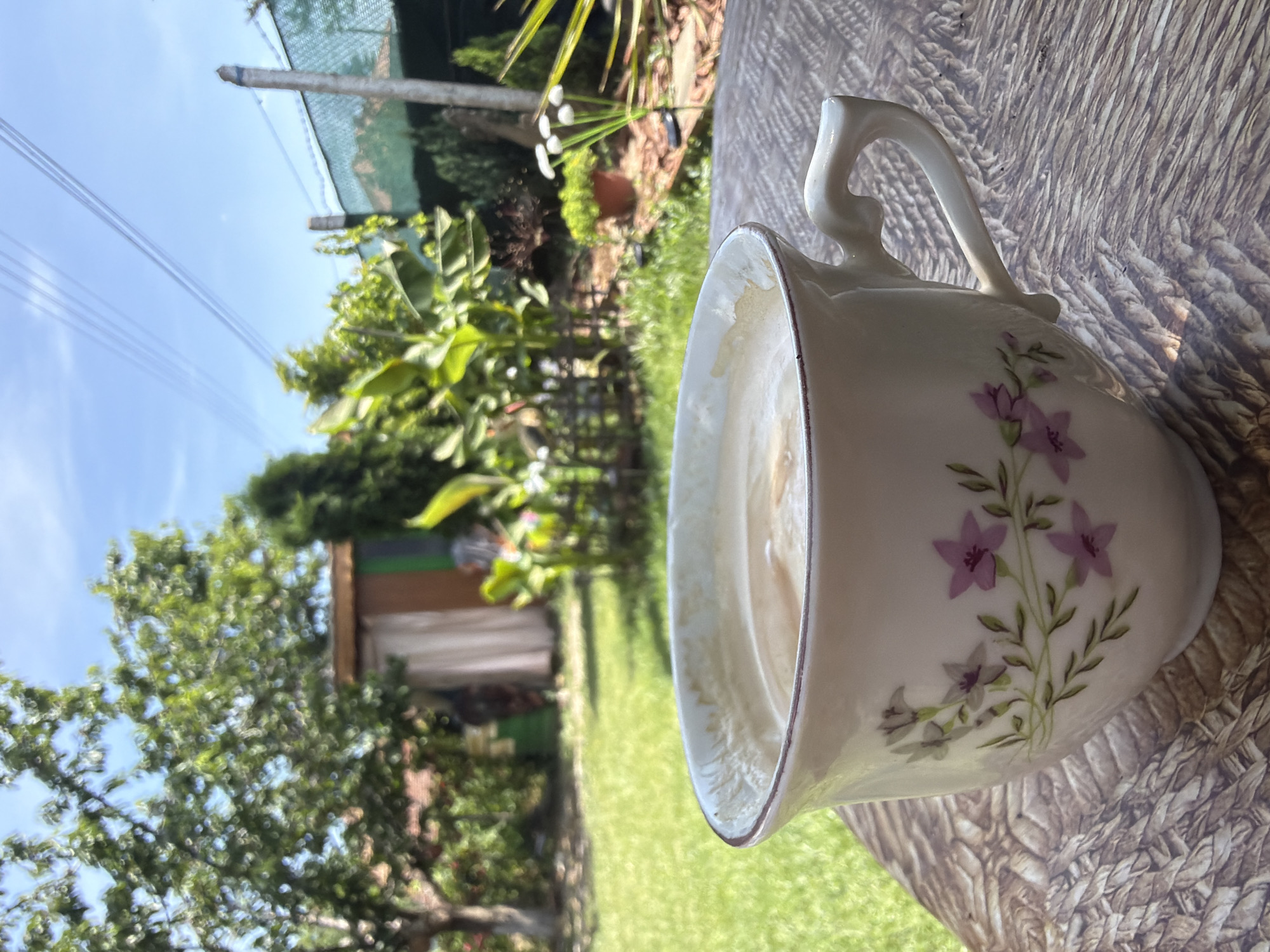 This media file captures a close-up view of a white ceramic cup with a distinctive, curved handle, positioned on a textured, woven surface, likely a placemat or tabletop. The cup features a delicate floral design of purple flowers with green stems and leaves. It contains a light brown beverage topped with froth, indicating coffee with milk or a latte, with some residue visible around the rim.
The background is out of focus, revealing an outdoor garden or backyard environment under a clear blue sky, suggesting bright daylight. Lush green trees and bushes are prominent, partially obscuring a wooden shed or outbuilding. A green mesh fence is visible in the upper background, alongside what appear to be utility lines stretching across the sky. Green grass covers the ground in the distant background.
The scene evokes a sense of tranquility and relaxation, depicting a moment of enjoying a warm drink outdoors in a domestic setting in Pokrayna, Bulgaria. No text is visible in the image.