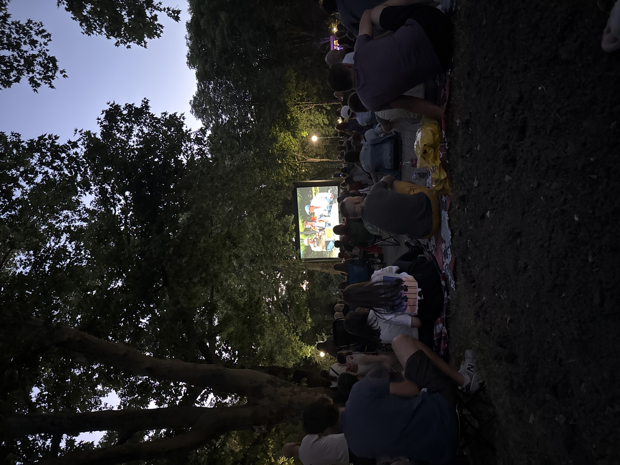 A group of people are gathered in an outdoor park, possibly in Plovdiv, Bulgaria, to watch an outdoor movie screening. The scene is captured from a low angle, looking up towards the screen. The sky above is a soft twilight blue, with the silhouettes of large trees framing the view. In the foreground, several individuals are seated on blankets and what appear to be foldable chairs, their backs mostly to the camera. They are dressed in casual attire.
The movie screen is illuminated and displays a colorful scene with at least two figures visible. The lighting from the screen casts a soft glow on the faces of those in the audience closest to it. Behind the audience, more trees and foliage create a dark, natural backdrop. A few distant lights, possibly streetlights or lights from other structures, are visible amongst the trees. The ground appears to be covered in grass and some dirt. The overall atmosphere suggests a relaxed evening event.