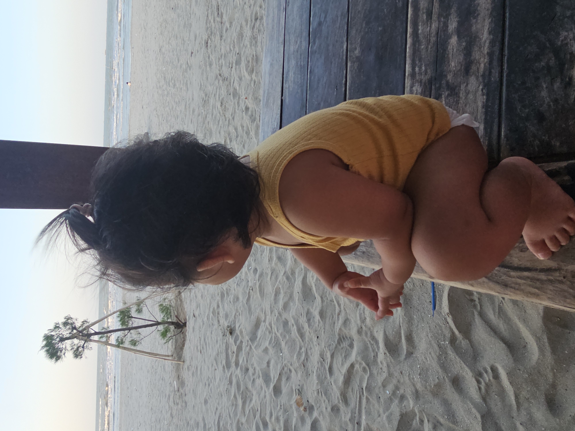 In Dalegan, Indonesia, a young child, viewed from behind, sits on a weathered wooden bench on a sandy beach. The child, with dark hair pulled into a ponytail and wearing a yellow sleeveless top, gazes out at the ocean. The beach is wide and sandy, with gentle waves lapping at the shore under a pale blue sky. In the background, a small, solitary tree, supported by three wooden poles, stands on the sand. The overall scene suggests a peaceful moment on a beach.
